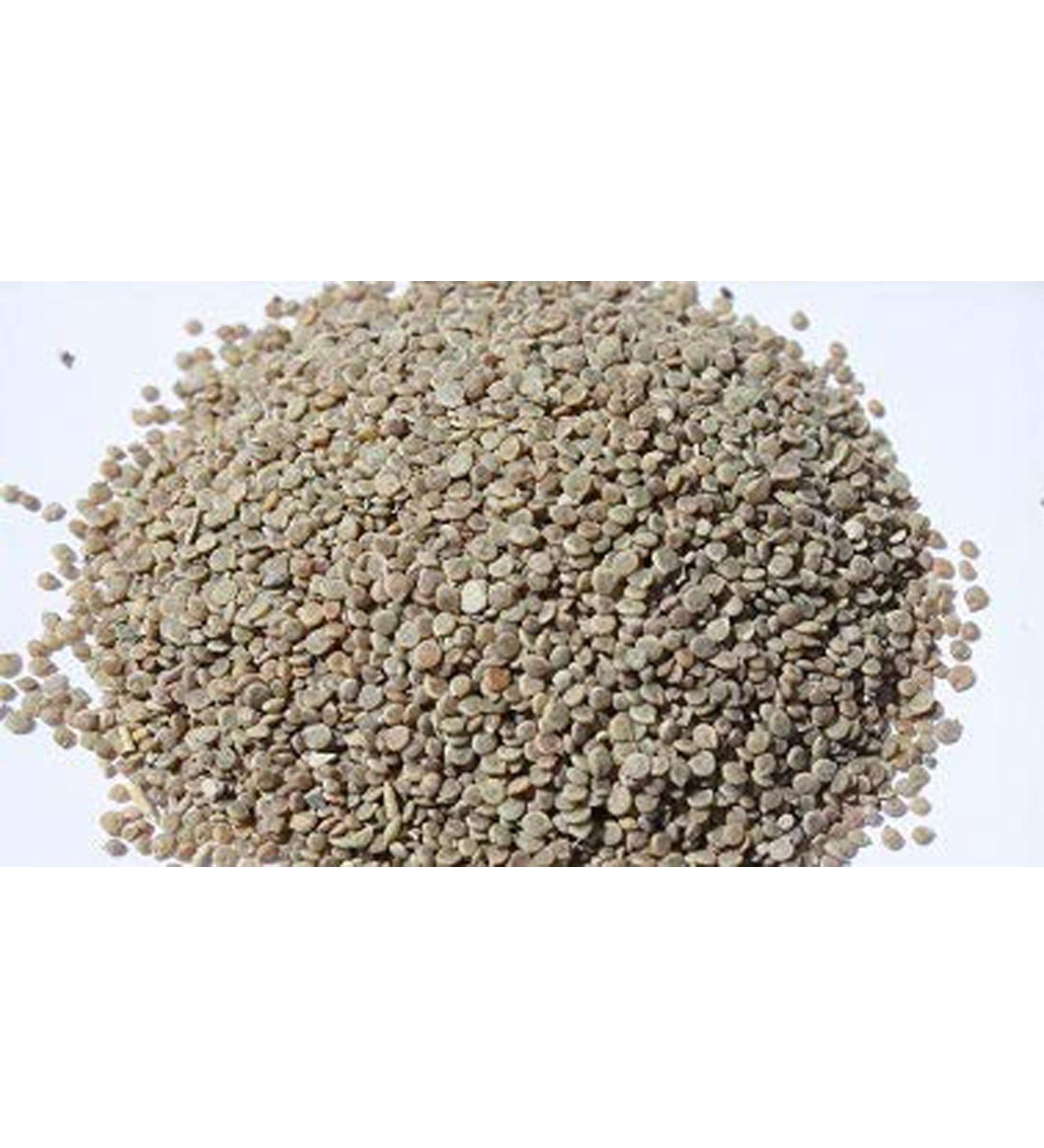 RAW HERB/JADI BOOTI TODRI WHITE SEEDS TUDRI SAFED BEEJ MATTHIOLA INCANA (100gm) - Buy Online on GoSupps.com