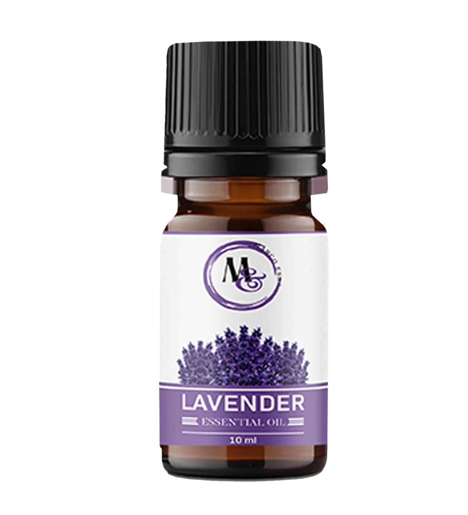 Marco Esra Lavender Essential Oil 10ml Pure and Natural Diffuser Oil for Aromatherapy Diffuser Humidifier Massage Undiluted No Fillers (Lavender) - Buy Online on GoSupps.com