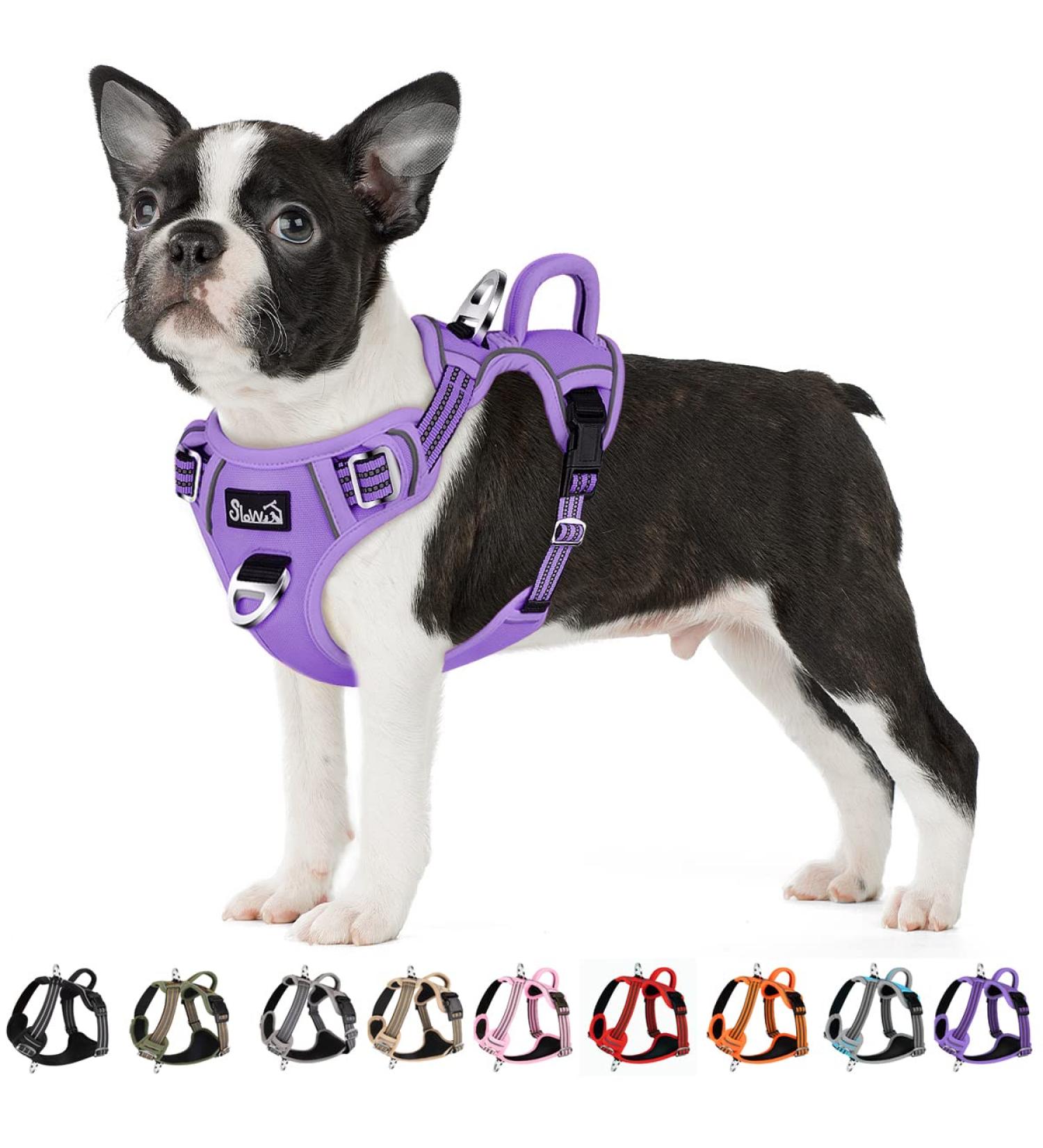 Buy Eyin Adjustable Dog Harness for Medium Dogs - Breathable Reflective Padded with Handle Perfect for Daily Training (Purple M) - Buy Online on GoSupps.com