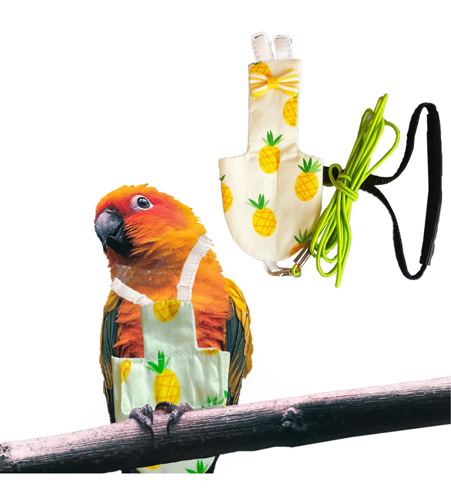 Pet Bird Diapers Flight Set with Green Leash | Washable Parrot Nappy & Cute Pattern | Reusable Pee Pads for Parakeet, Cockatoos, Mini Macaw - Buy Online on GoSupps.com