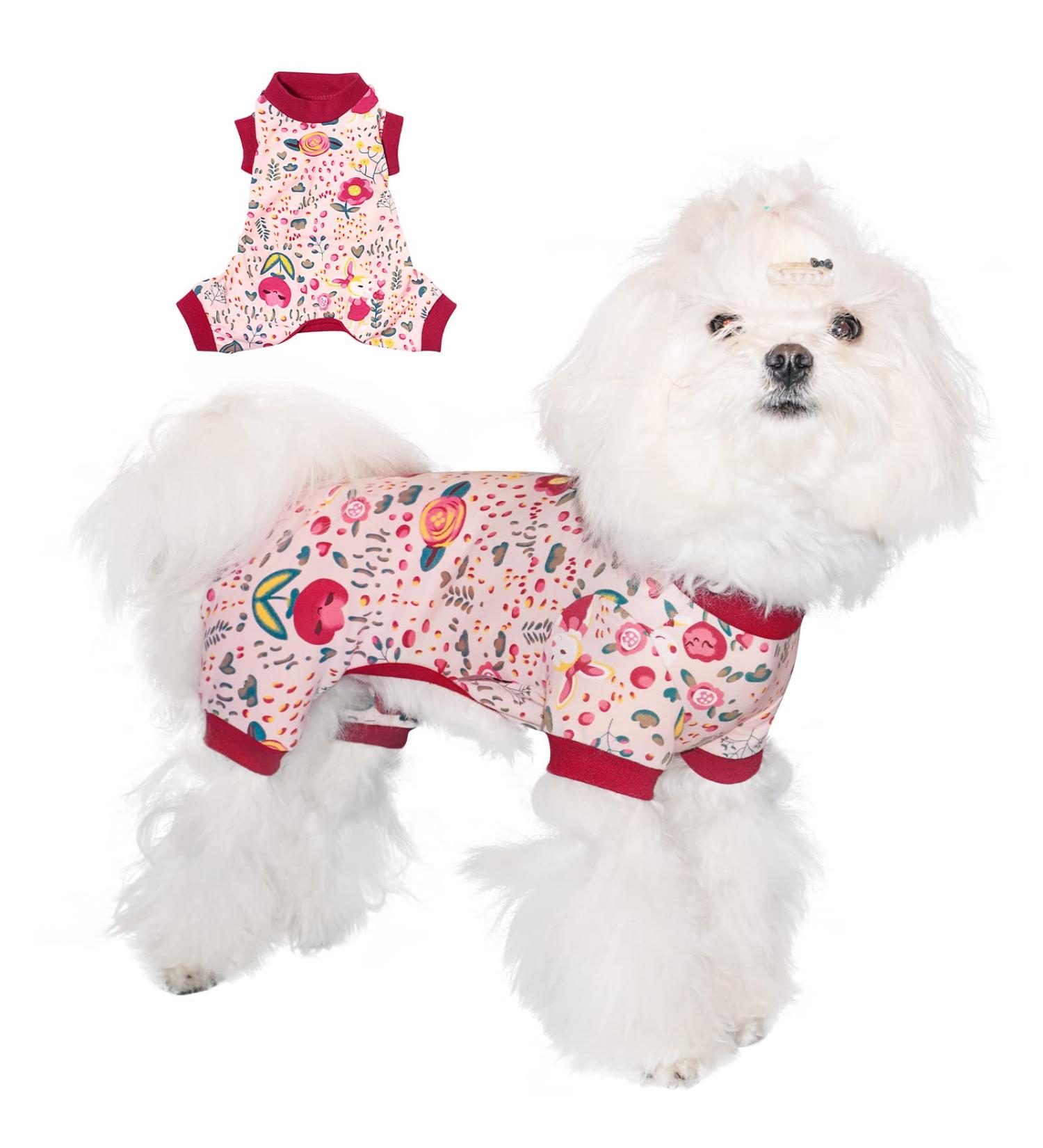 Tony Hoby Dog Libra Suit - Light Cotton 4-Leg Hedge Suit for Small to Medium Dogs | Floral & Rabbit Design (Pink Large) - Buy Online on GoSupps.com
