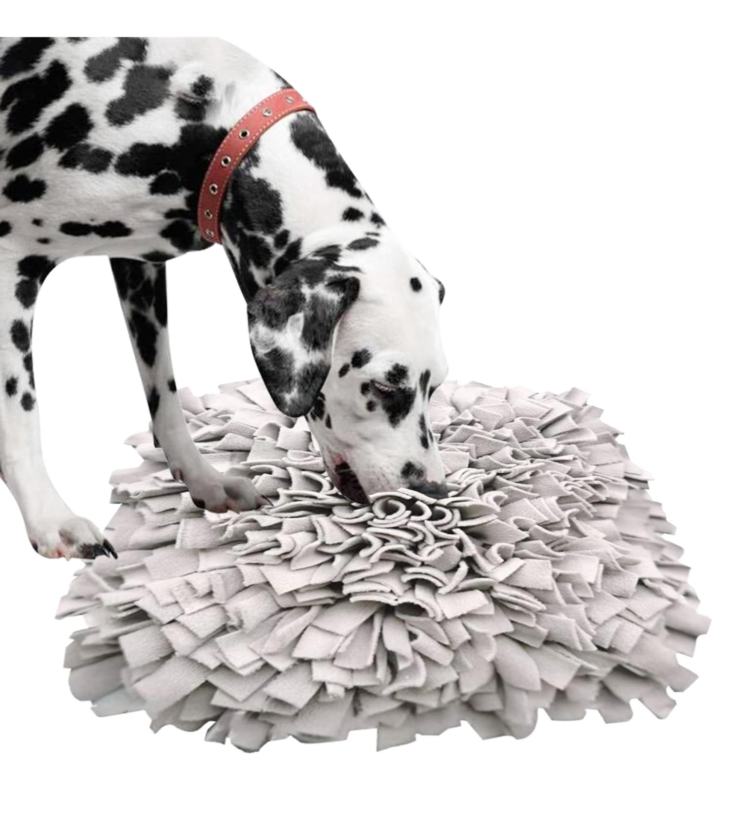 Sniffing Carpet Training Mat for Dogs & Cats - Ieuumler 45x45cm Gray-2 | Ideal for Smell Training & Interactive Play - Buy Online on GoSupps.com