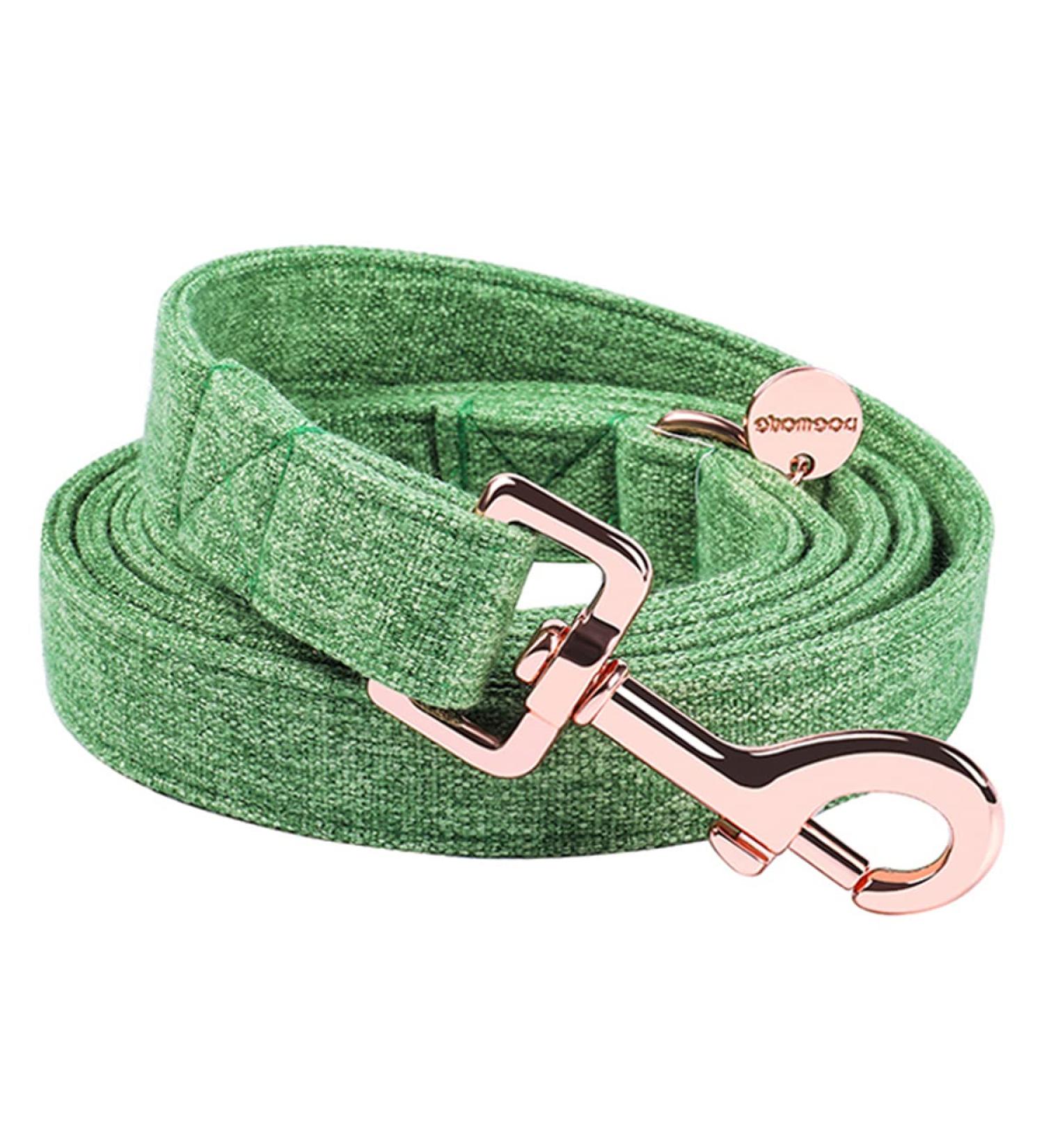 Dogwong Green Dog Leash - Comfortable Adjustable Pet Line for Small & Medium Dogs (Pack of 1) Ideal for Boys & Girls - Buy Online on GoSupps.com