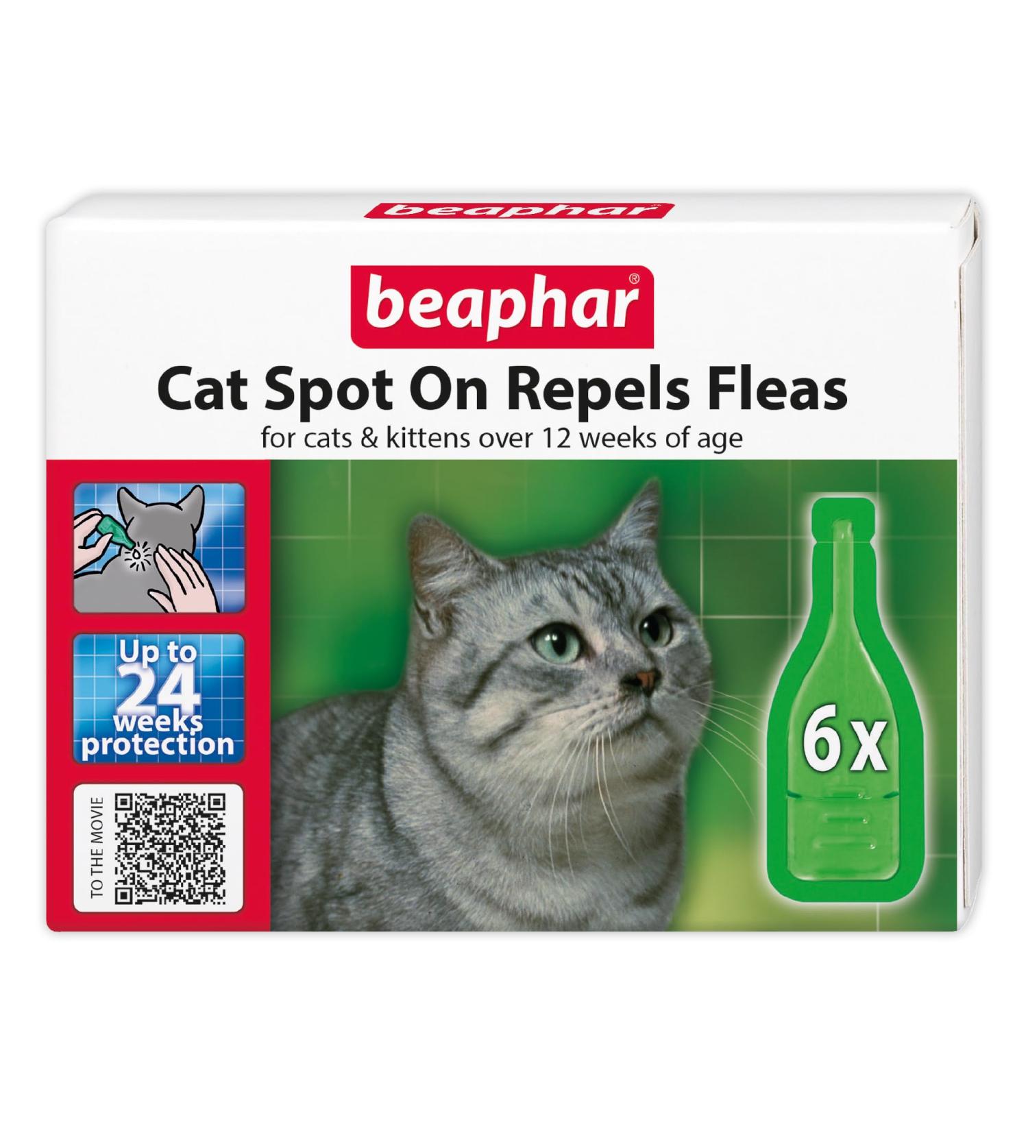 Beaphar Cat Spot-On Repels Fleas Plant-Based Parasite Protection Contains Natural Herbal Extract Margosa Up to 24 Weeks Protection 6 Pipettes 0.8 ml (Pack of 6) 24 Week Single - Buy Online on GoSupps.com