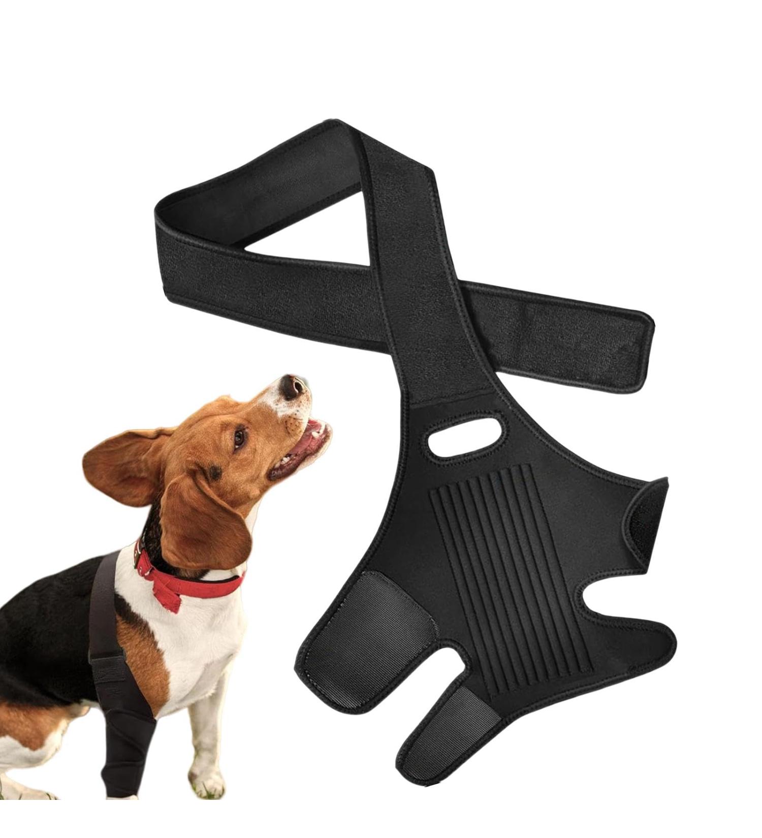 Dog Knee Brace | Dog Hip Dysplasia Brace with 10 Support Sticks - Comfortable Hip and Leg Protector Breathable for Small Senior and Disabled Dogs - Buy Online on GoSupps.com