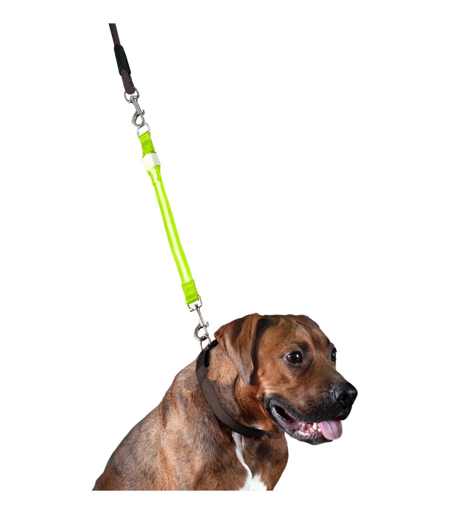 Furhaven Pet Hands-Free Bungee Dog Leash with LED Collar and Safety Features - Multiple Colors and Sizes - Buy Online on GoSupps.com