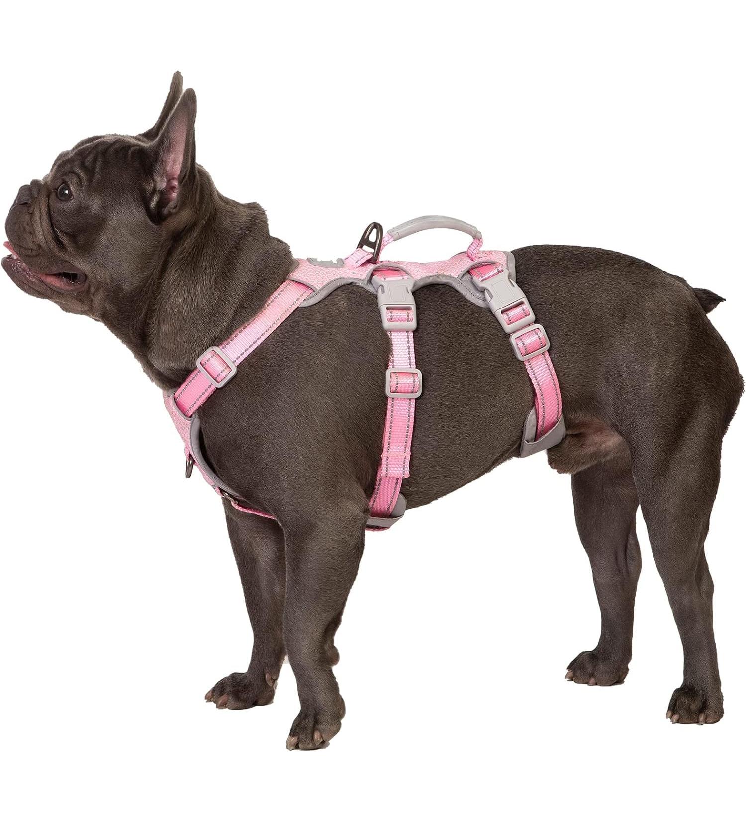 Buy Huntboo Dog Safety Dishes - Reflective Break-Away Harness & Adjustable Vest for Small Dogs (Pink Size S) - Perfect for Walking & Training - Buy Online on GoSupps.com
