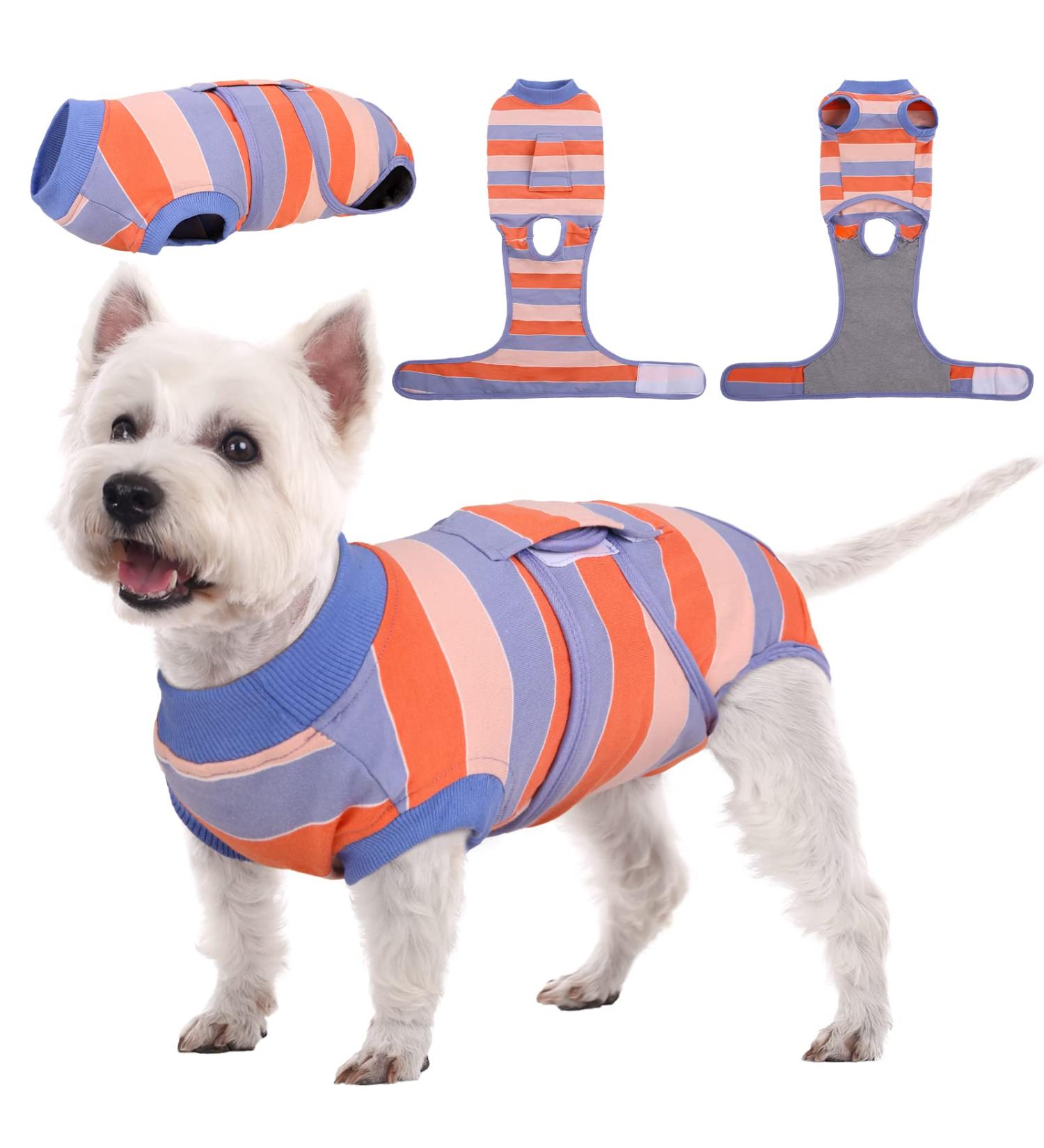 Kuoser Dog Recovery Suit - Breathable Post-Op Body for Male & Female Dogs Anti-Wound Support E-Collar Alternative in Orange & Blue - Buy Online on GoSupps.com