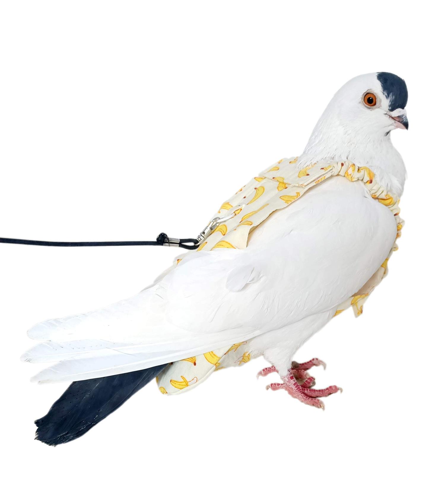 YUYUSO Pigeon Dove Diaper Pants with Leash | Comfortable & Secure Solution - Buy Online on GoSupps.com