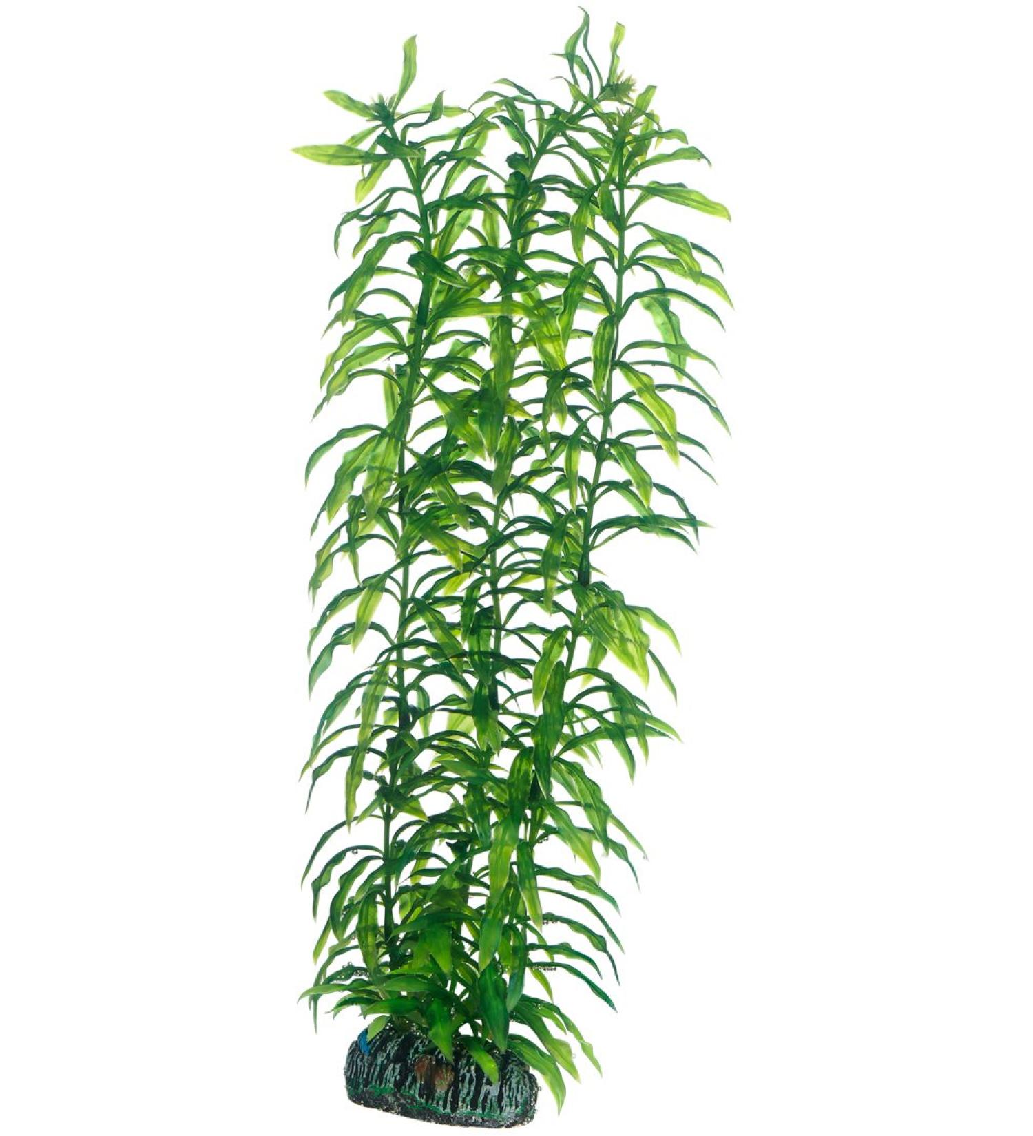 Hobby 51567 Heteranthera 34 cm 34 cm Single