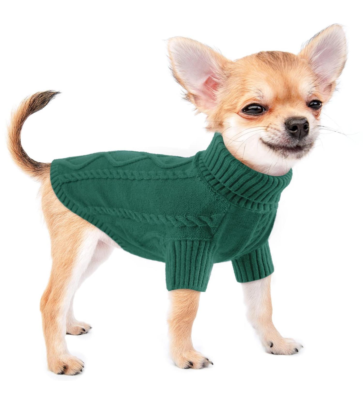 Warm Peacock Green Dog Sweater for Small Dogs - Winter Turtleneck Knit Sweater | Soft Stylish Pet Clothing - Buy Online on GoSupps.com