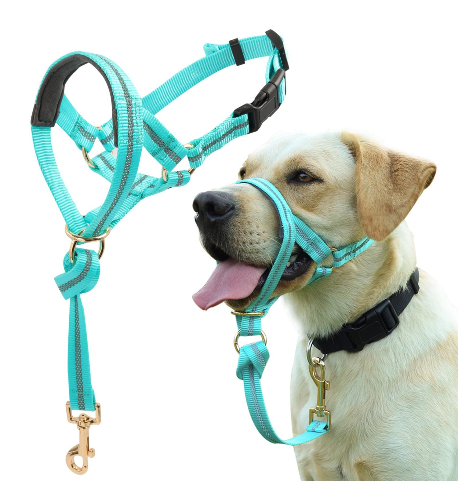 Barkeless Dog Handlebars | Reflective No-Pull Training Device for Medium & Large Dogs - Includes Training Instructions (Turquoise) - Buy Online on GoSupps.com