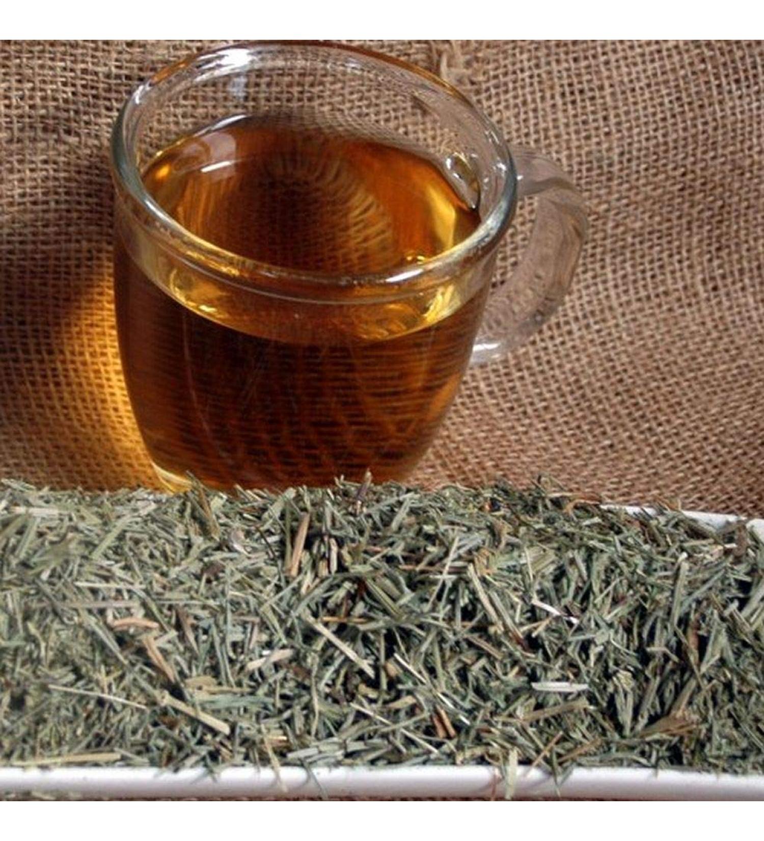 Krauterino24 - Field horsetail herb cut - horsetail tea quantity: 100g