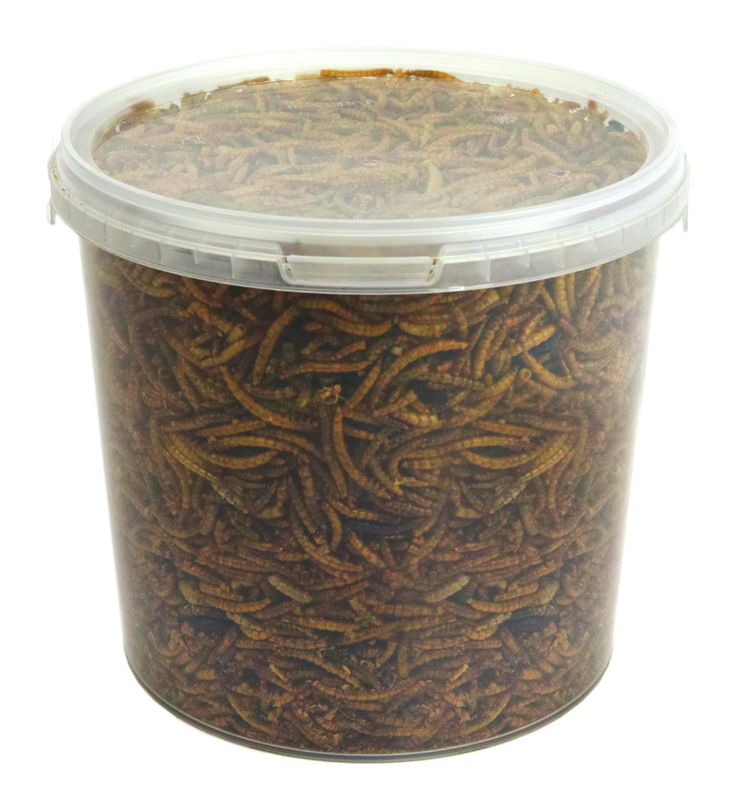 GardenersDream Dried Mealworms for Wild Birds - 5L (2.5 kg) | Premium Garden Bird Food - Buy Online on GoSupps.com