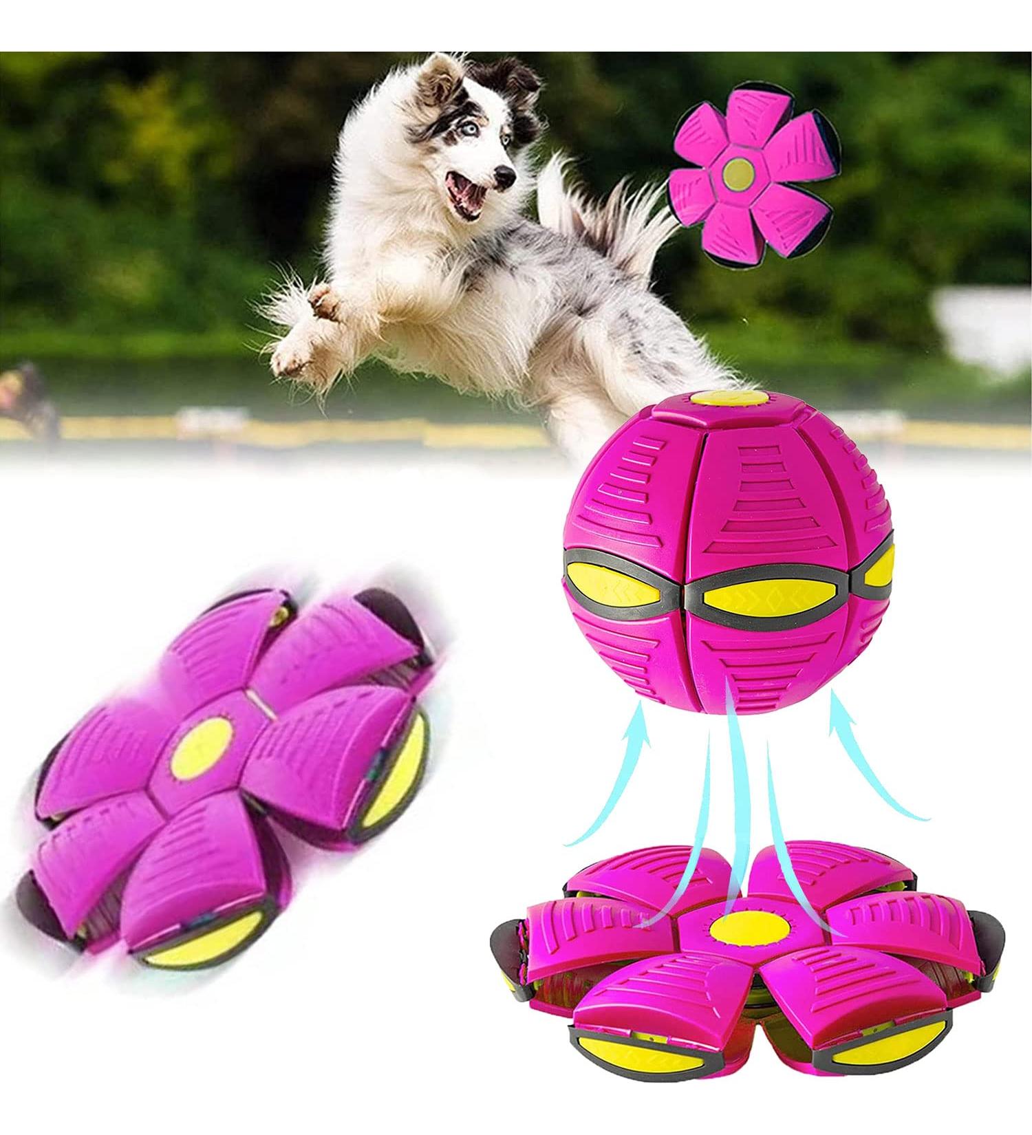 Buy Yeahboom Premium Dog Frisbee Ball Toy - Flying Saucer for Dogs | Durable & Fun Pet Toys Violet - Buy Online on GoSupps.com