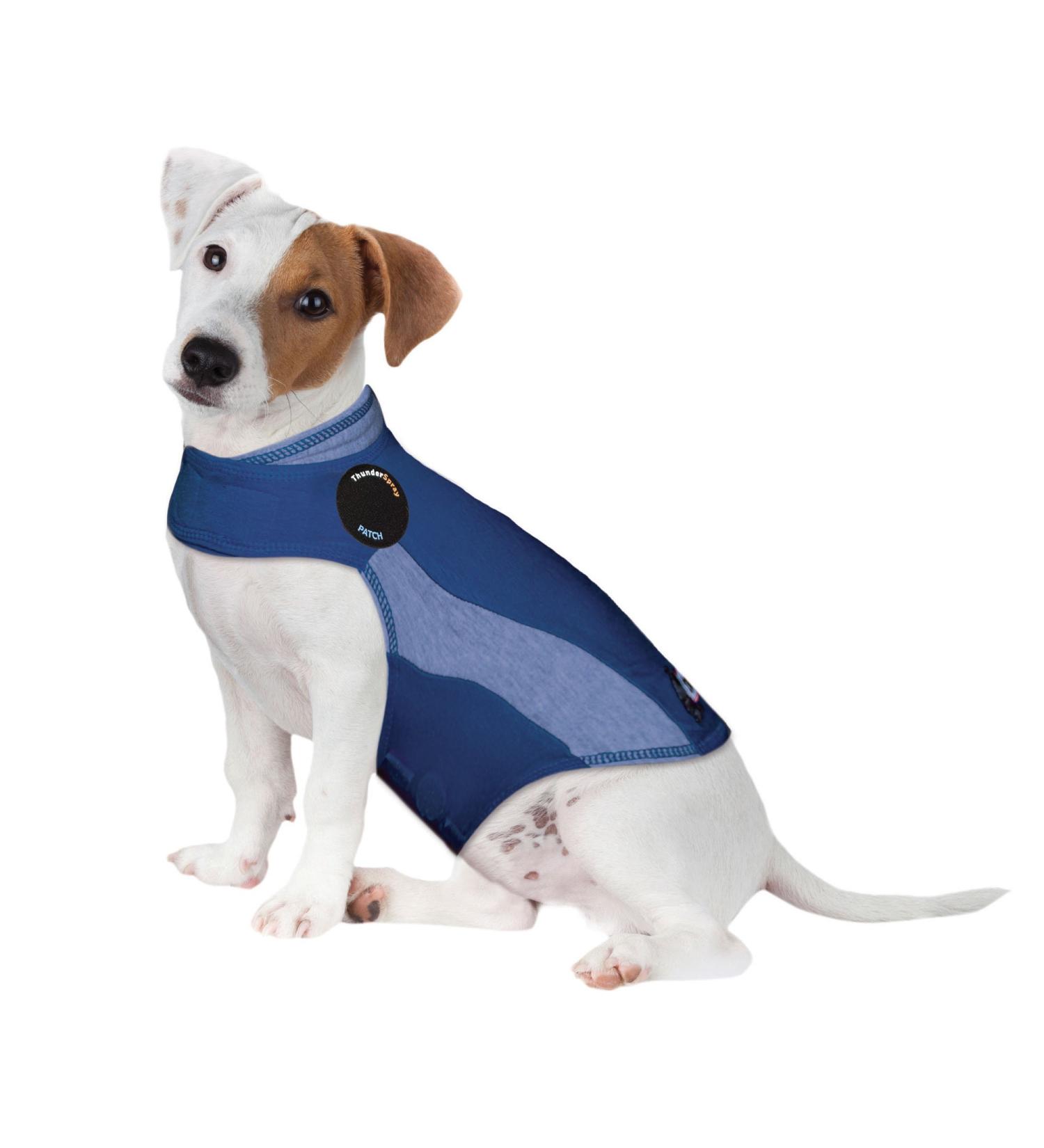 Thundershirt Men's Dog Anxiety Jacket - Blue Small | Comfort for Anxious Dogs | International Shipping Available - Buy Online on GoSupps.com