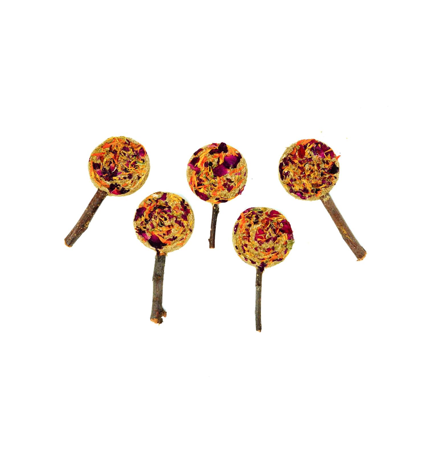 No Furries Delights Forage Pops: 5-Pack of 100% Natural High Fiber Enrichment Treats for Rabbits Hamsters Guinea Pigs Chinchillas Rats and Mice - Perfect for Dental Health Bonding and Training - Buy Online on GoSupps.com