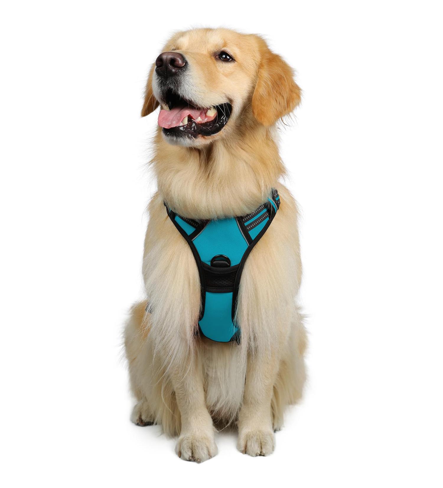 Rabbitgoo Medium Dog Harness - No Pull Adjustable Breathable Control Harness for Large Dogs - Safe & Comfortable with Reflex Stripes - Blue Green XL (1 Pack) - Buy Online on GoSupps.com