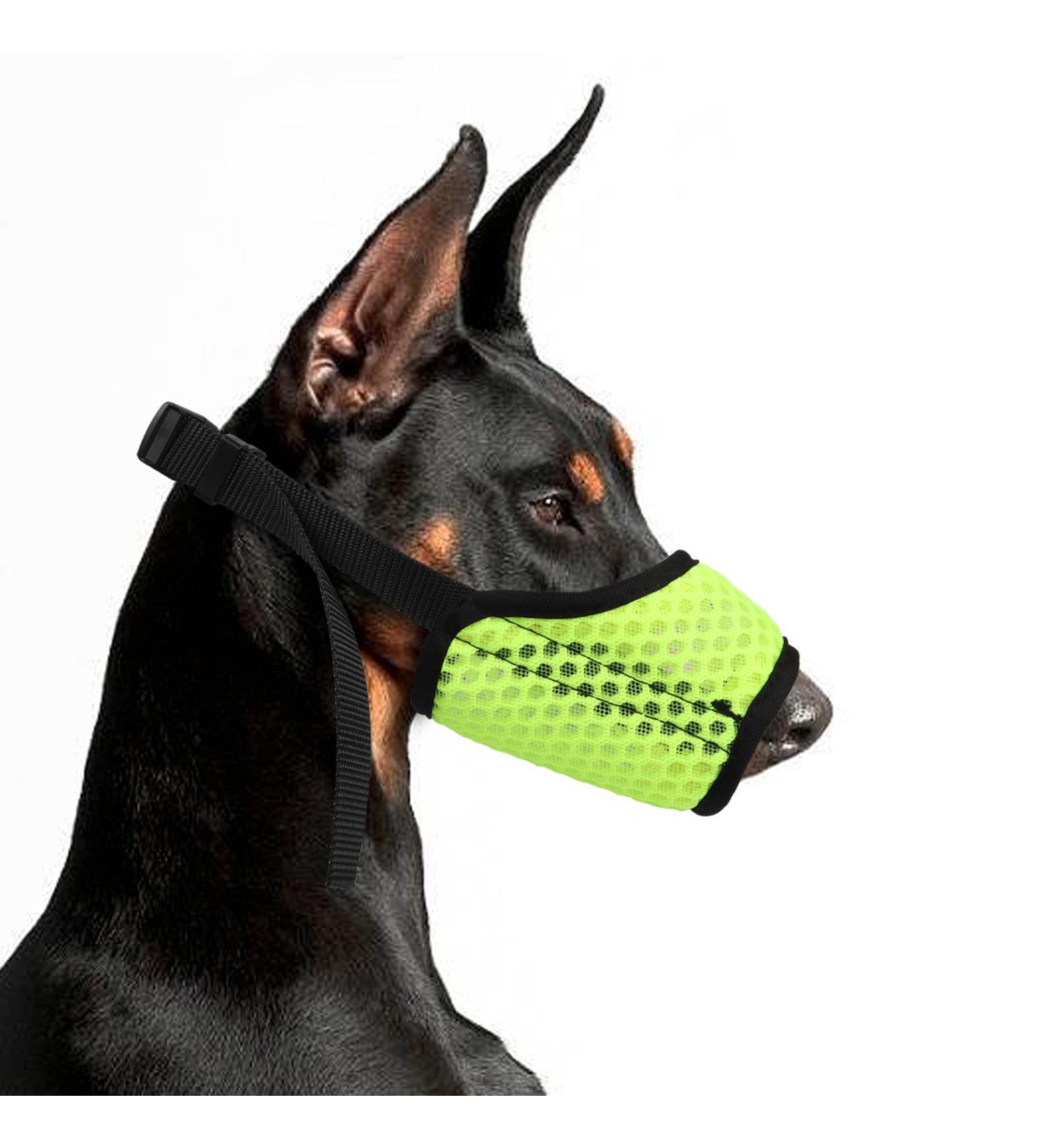 Yaodhaod XL Green Dog Muzzle - Breathable Mesh Loop to Prevent Eating Biting & Chewing - Ideal for Large Breeds - Buy Online on GoSupps.com