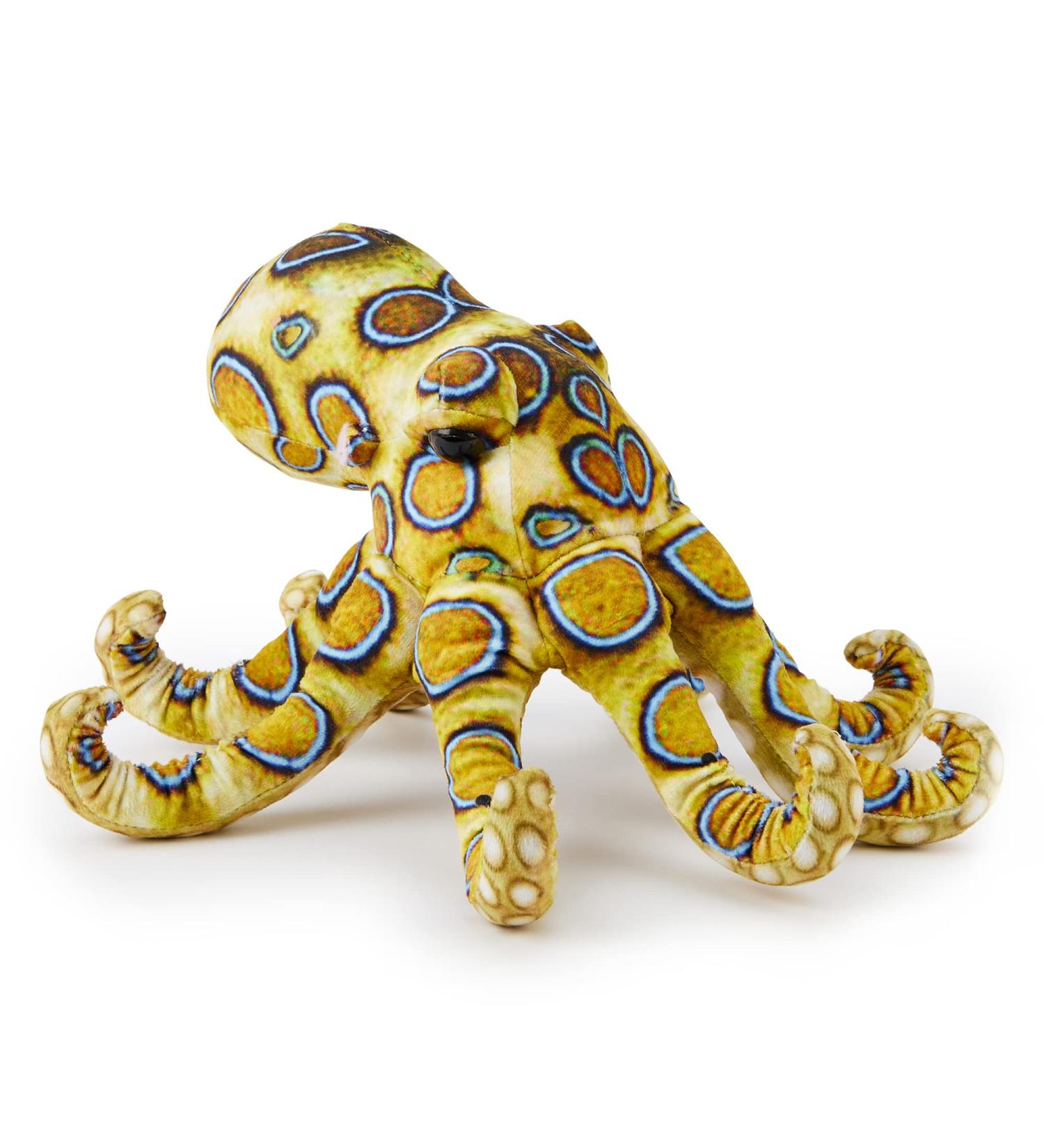 Zappi Co Plush Children's Stuffed Toy - Safari Animals Collection (Blue Ringed Octopus, 27cm) - Soft & Cuddly - Buy Online on GoSupps.com