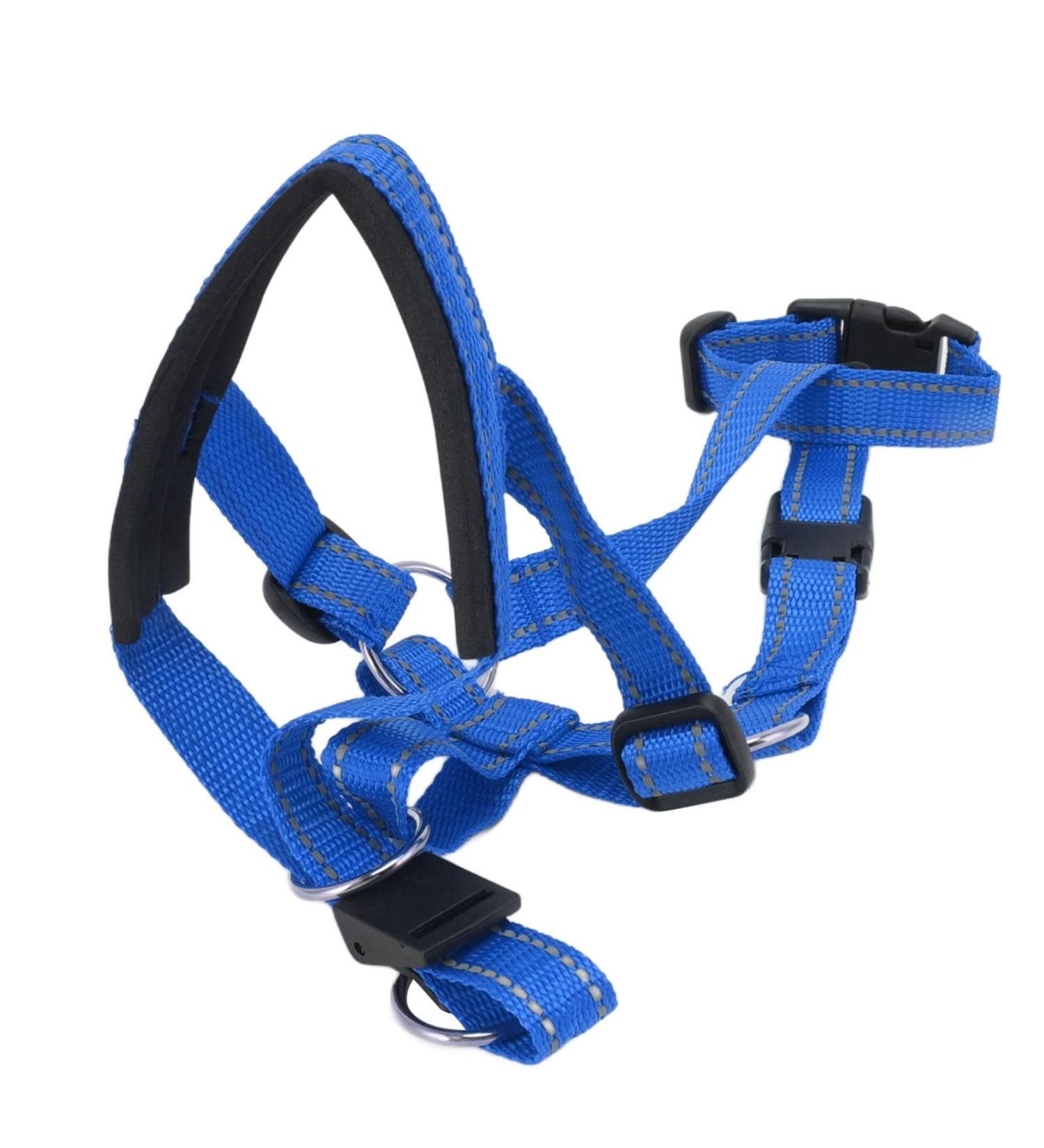 Dog Handlebars with Seat Belt - XL Blue Pet Halter to Prevent Pulling | International Shipping Available - Buy Online on GoSupps.com
