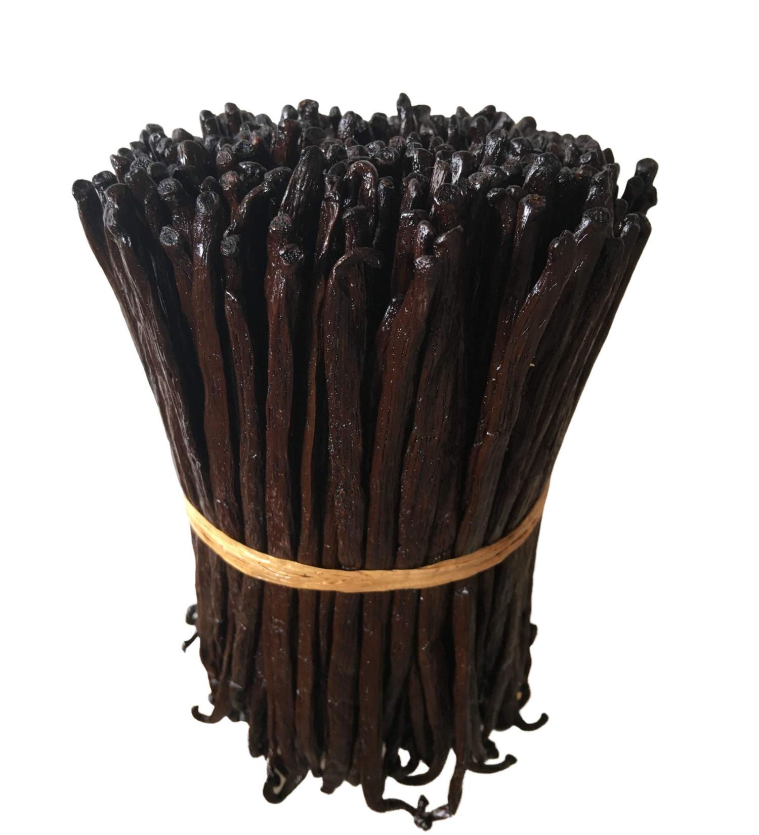 Madagascar Vanilla Beans Grade A/B for Extract | FITNCLEAN VANILLA | 10 Count Bulk Bourbon Fresh Pods - Buy Online on GoSupps.com