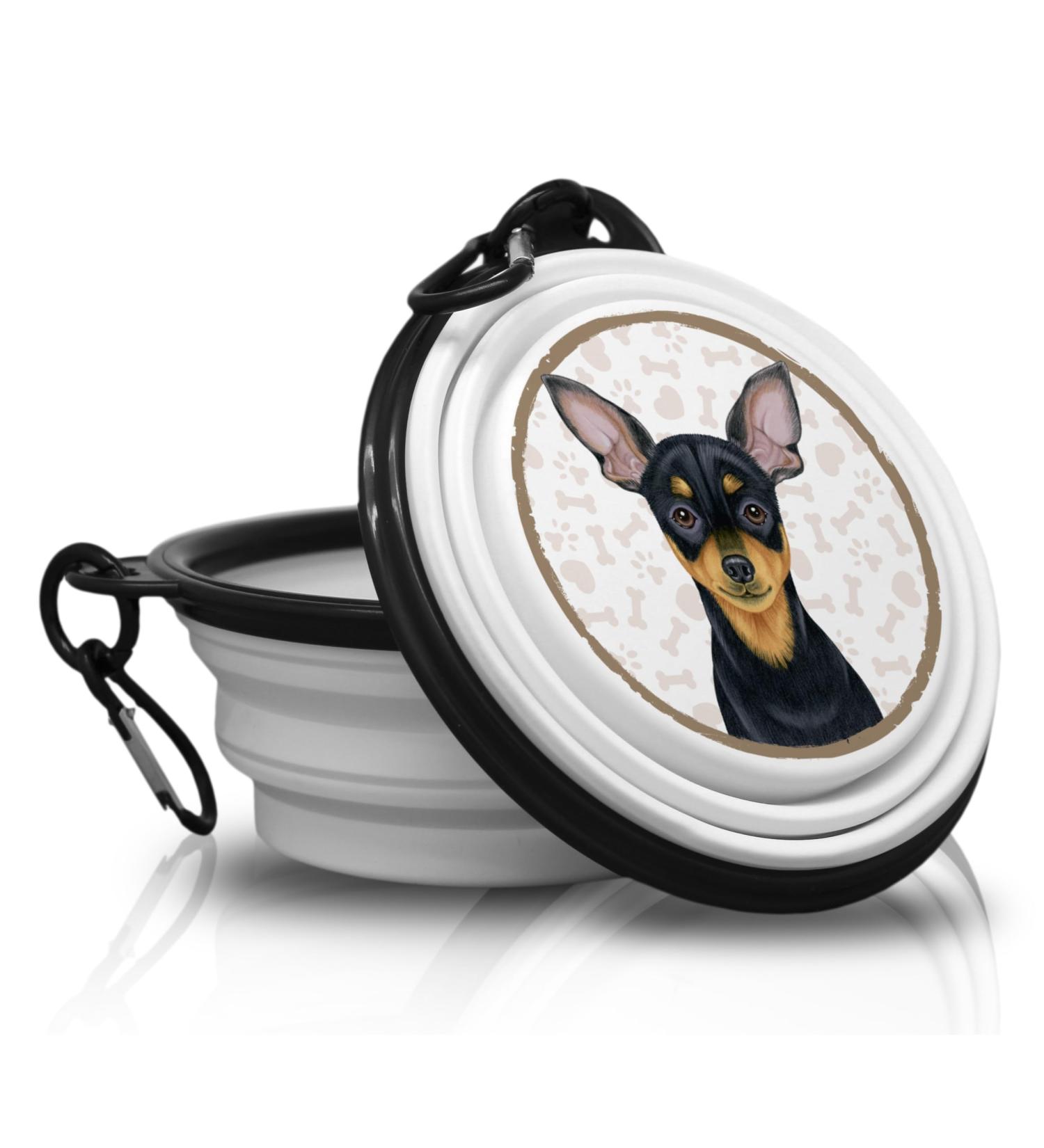 PRAGER Rattler - Foldable Portable Dog Bowl with Carabiner | Travel-Friendly Pet Food Bowl for Dogs & Cats - Buy Online on GoSupps.com