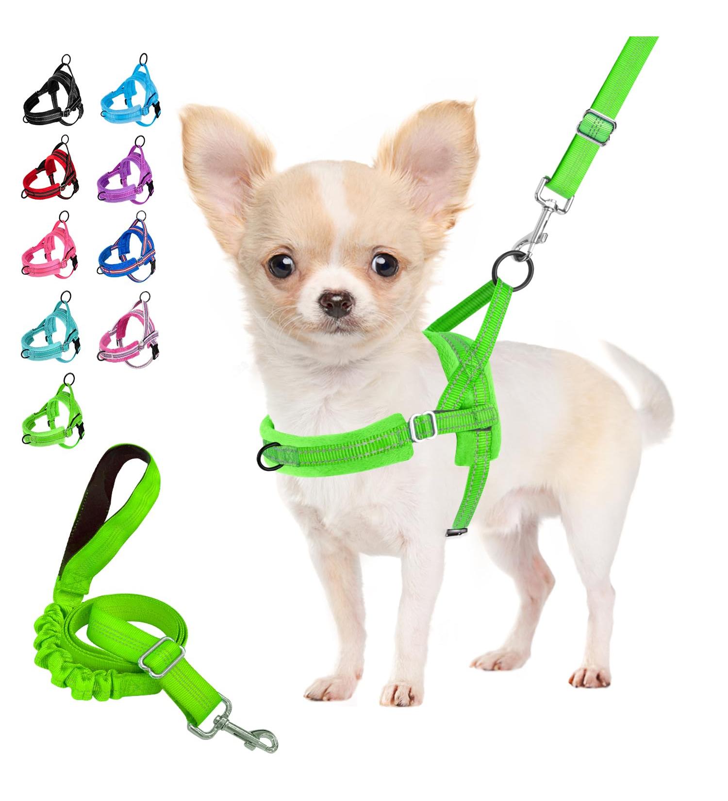 Eyein No-Pull Dog Harness with Leash - Soft Padded Reflective & Adjustable for Puppies Small & Large Dogs Cats - Green XXS - Buy Online on GoSupps.com