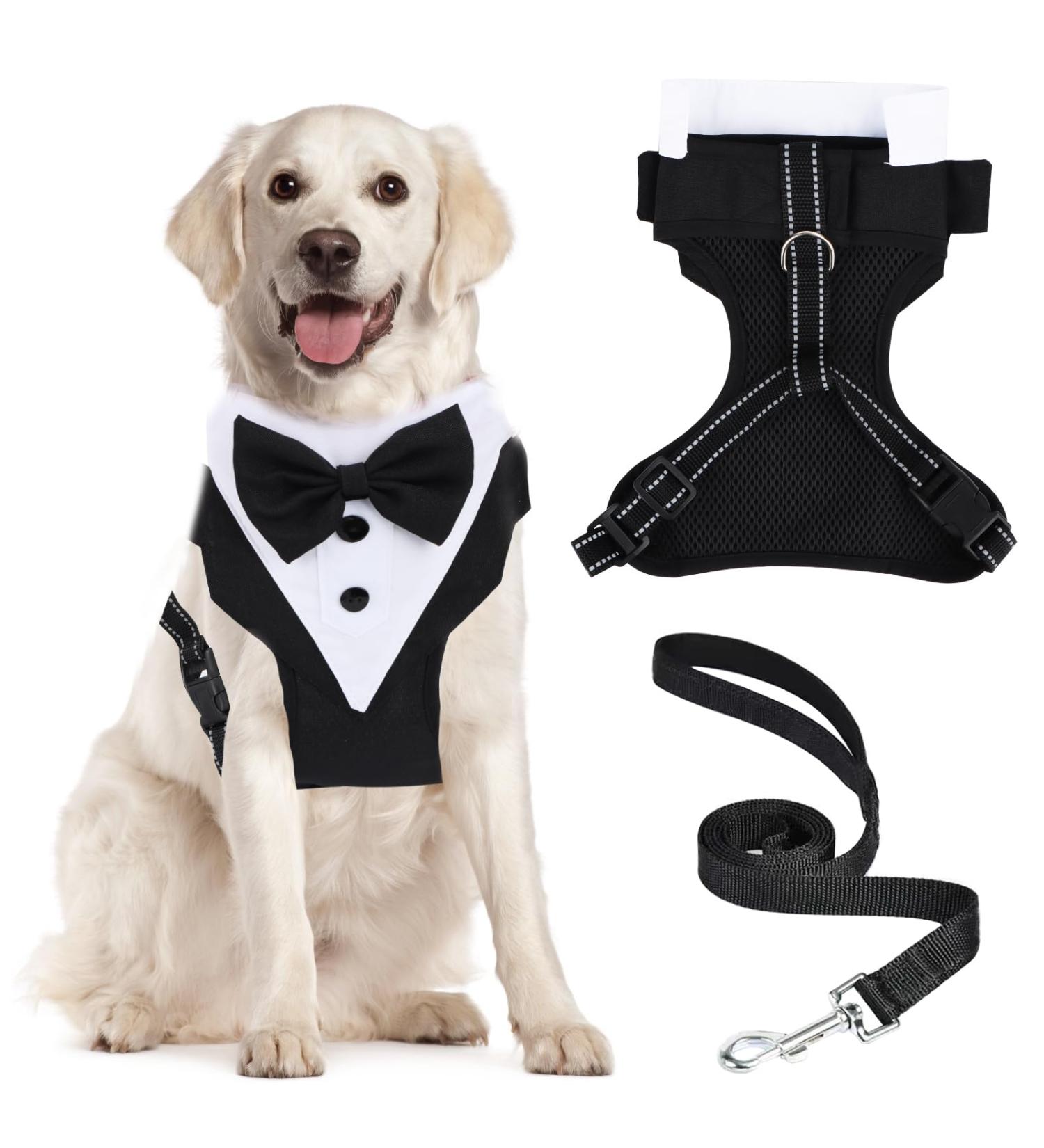 Stylish Dogs Smoking Bandana | Adjustable Pet Bandana for Weddings Birthdays & Christmas | Black & White Dog Headscarves - Buy Online on GoSupps.com