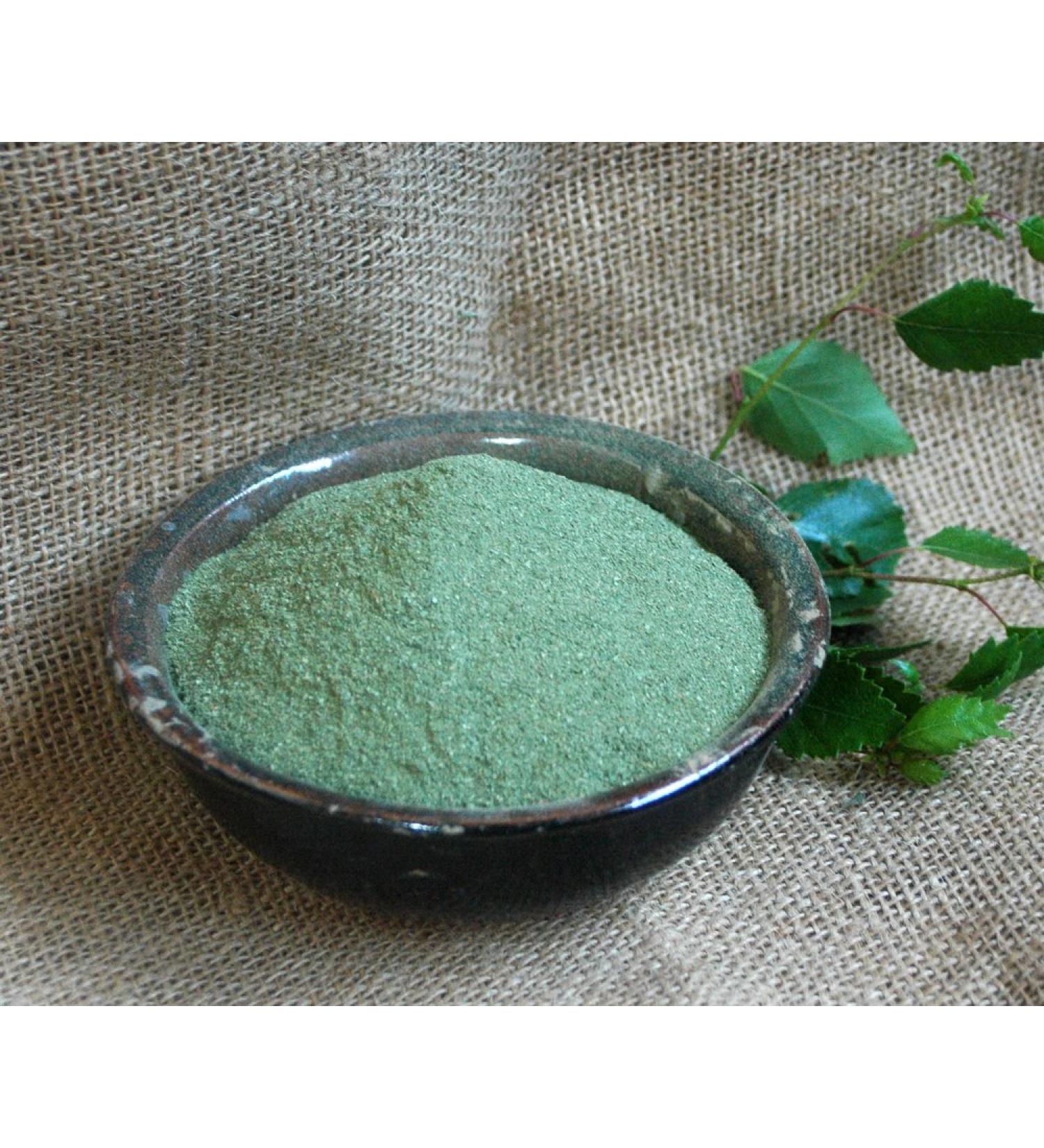 Naturix24 Naturix24 Ground Birch Leaves - 500g Aroma Protection Bag