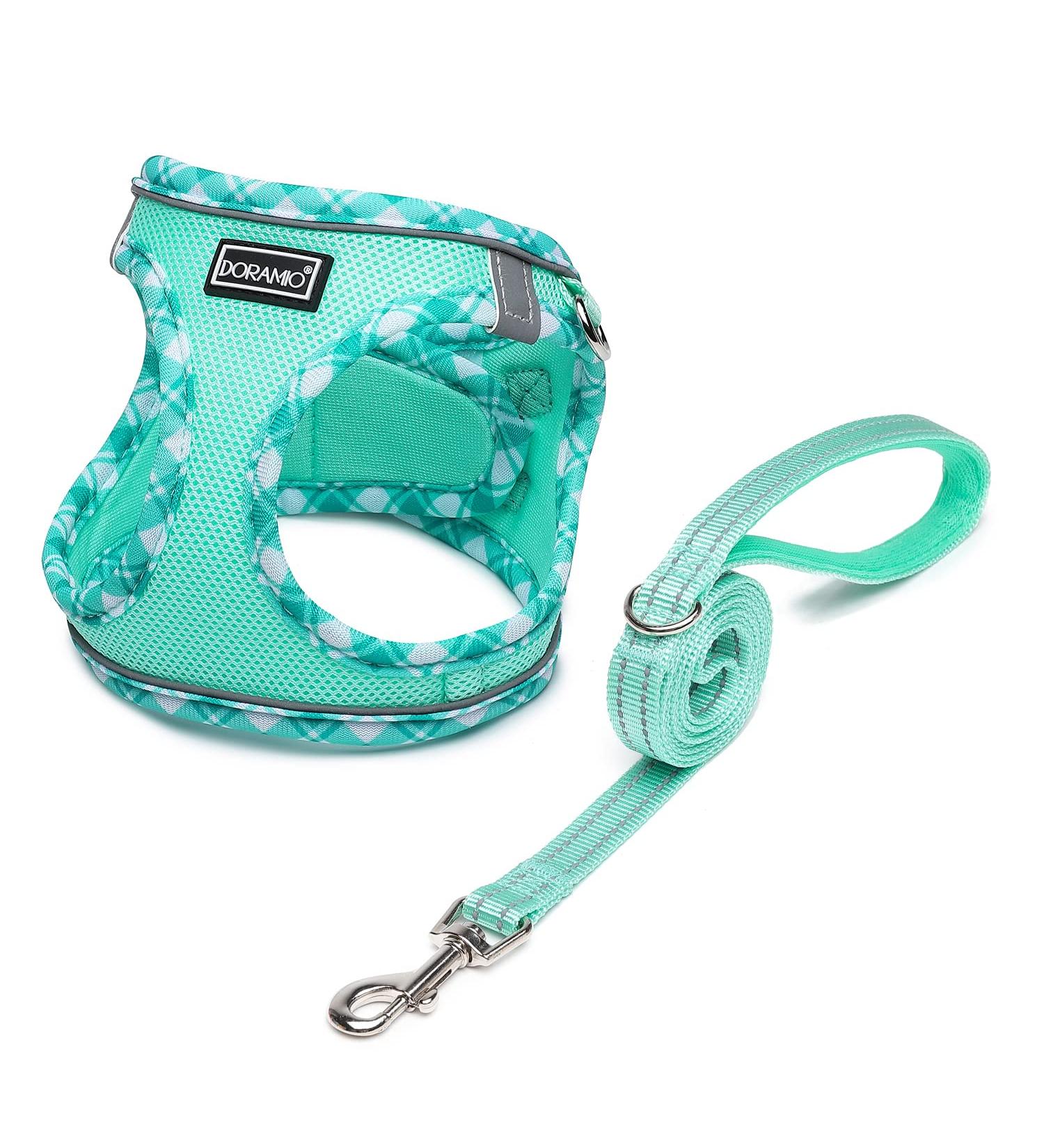 Doramio Reflective Dog Harness for Small Dogs & Cats - Breathable Step-In Design with Leash - XS Light Green - Buy Online on GoSupps.com