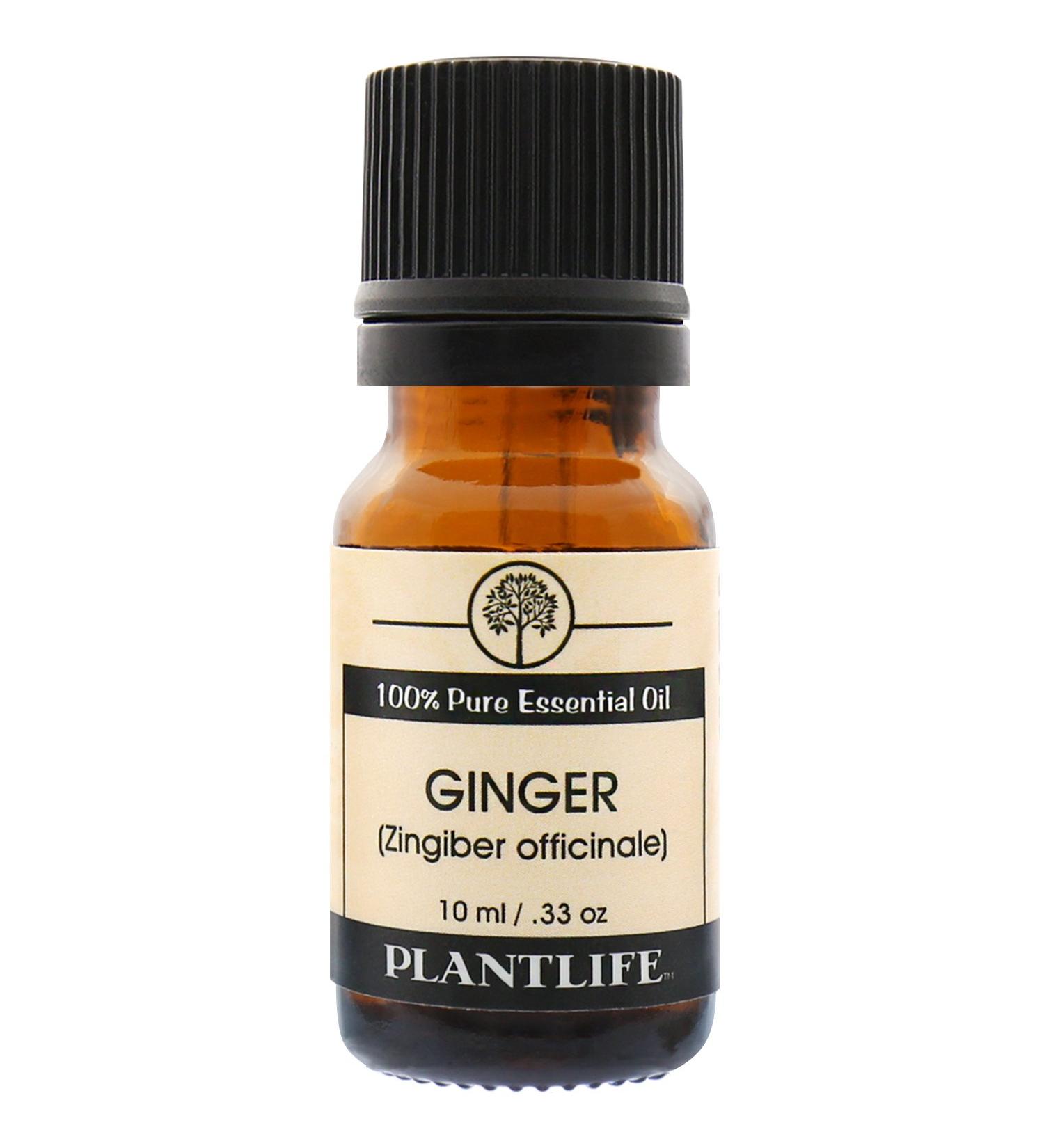 Plantlife Ginger Aromatherapy Essential Oil - 100% Pure Therapeutic Grade - 10 ml - Buy Online on GoSupps.com