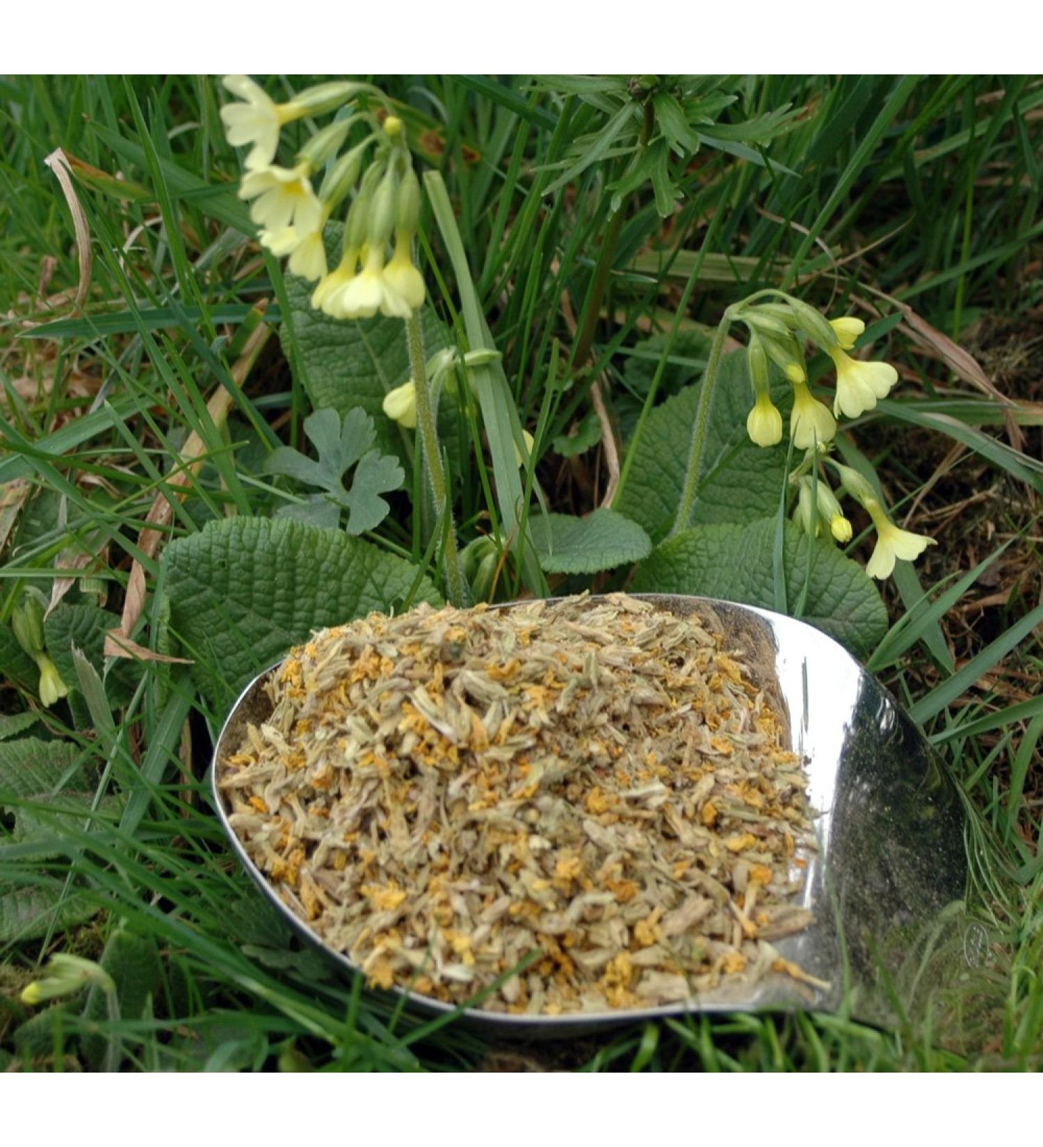 Naturix24 Key Flower Tea Key Flower Cut 100g bag