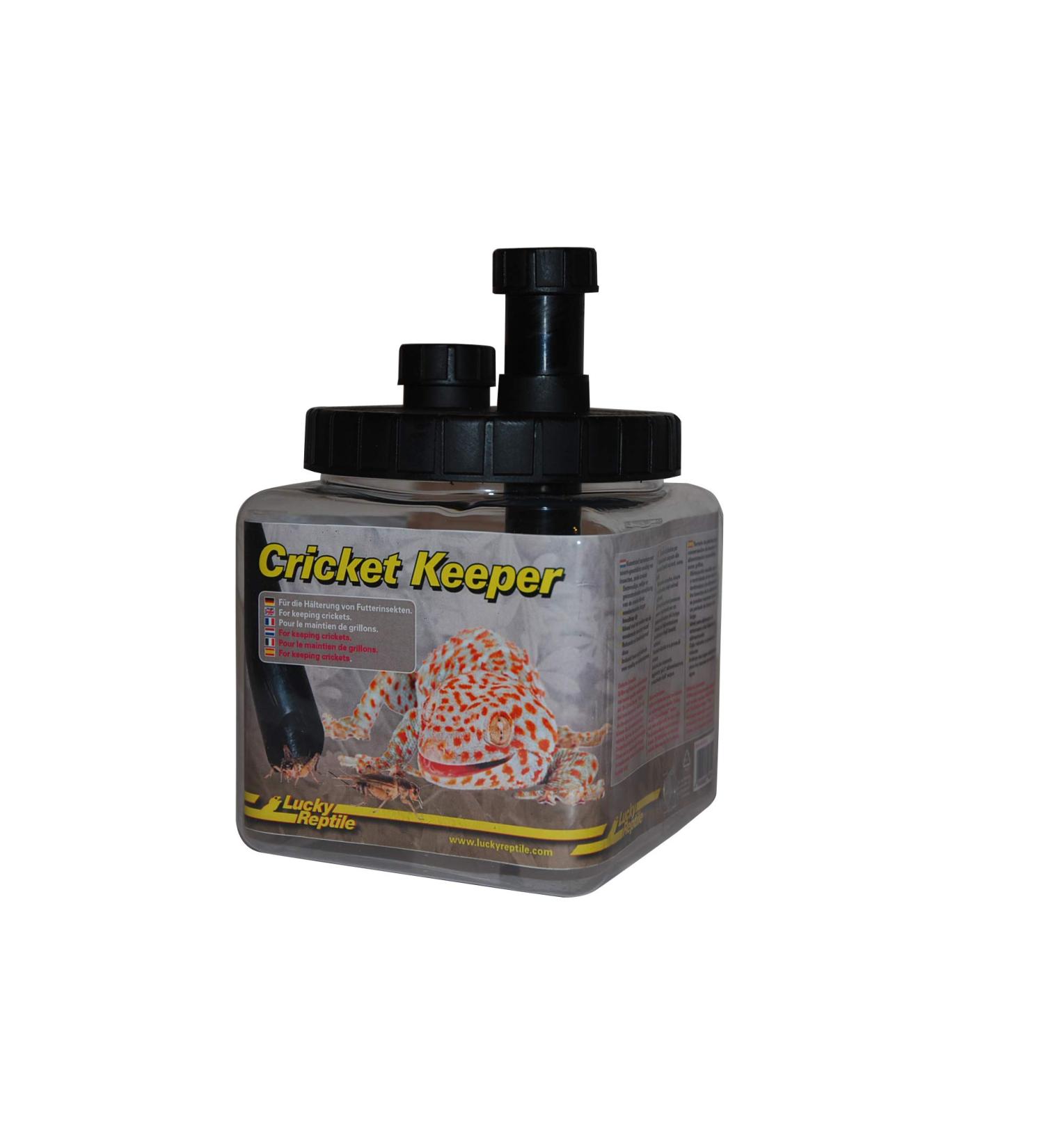 Lucky Reptile Cricket Keeper for Keeping Feeder Insects 1 Item (Pack of 1) - Buy Online on GoSupps.com