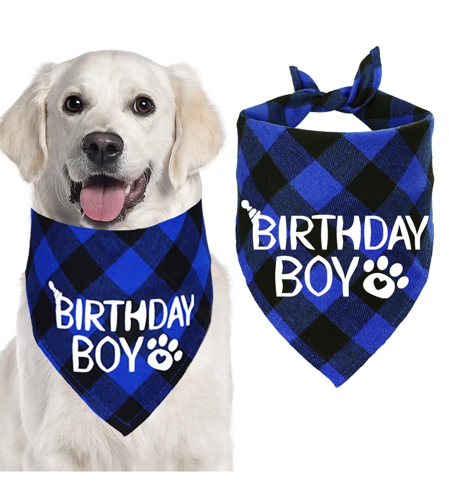 STMK Dog Birthday Boy Plaid Bandana - Medium Large Dog Birthday Supplies - Buy Online on GoSupps.com