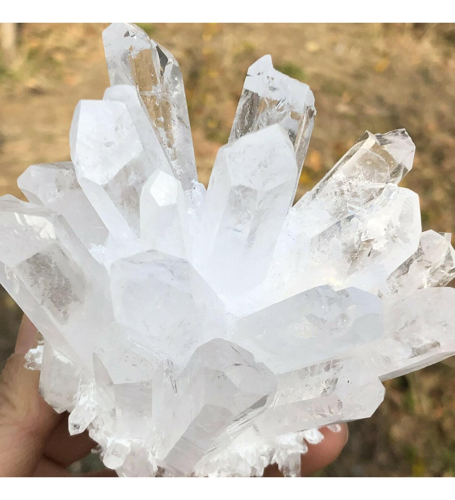 1pc Natural Rare White Quartz Crystal Cluster Specimen (Size : 260-300g) - Buy Online on GoSupps.com