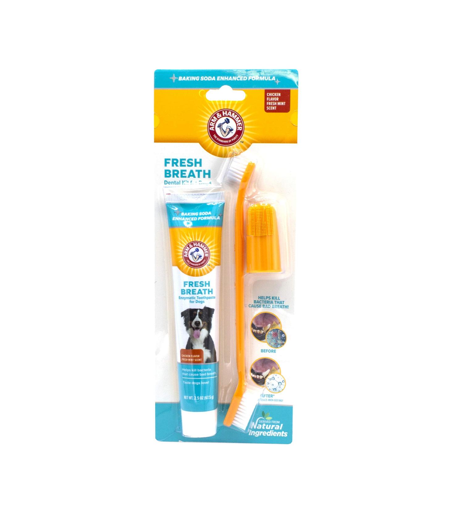 Arm & Hammer Fresh Breath Dental Kit for Pets - Pet Toothbrush & Toothpaste with Baking Soda - Oral Care Dental Kit for Cat & Dog Teeth Cleaning - Chicken Flavor - 1 Pack - Buy Online on GoSupps.com