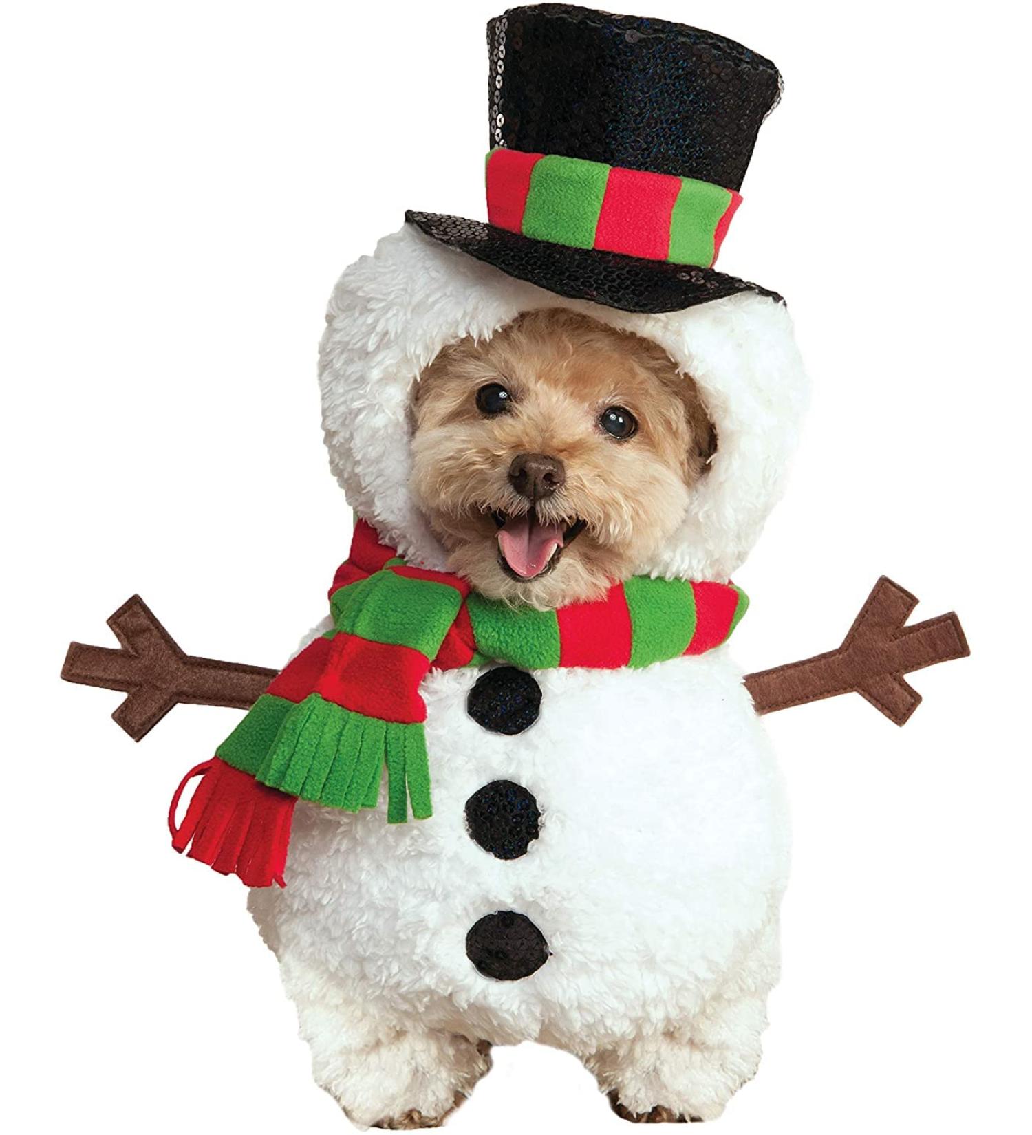 Rubie's Pet Costume - Size M (Neck 14.5, Girth 20, Back 15) - As Shown - Buy Online on GoSupps.com