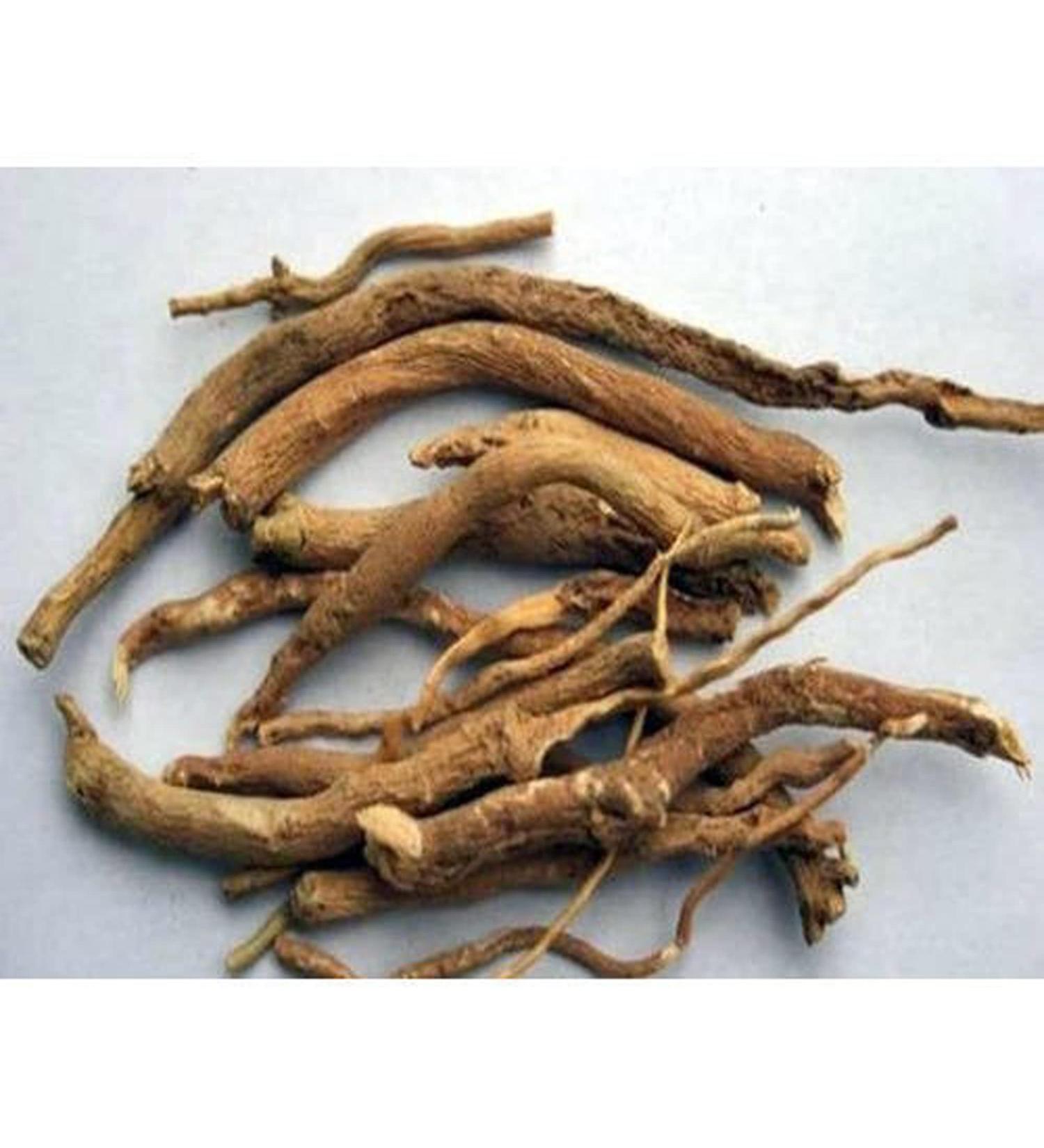 RAW HERB/JADI BOOTI PUNARNAVA ROOTS SATHI JADD BOERHAVIA DIFFUSA (100GM) - Buy Online on GoSupps.com