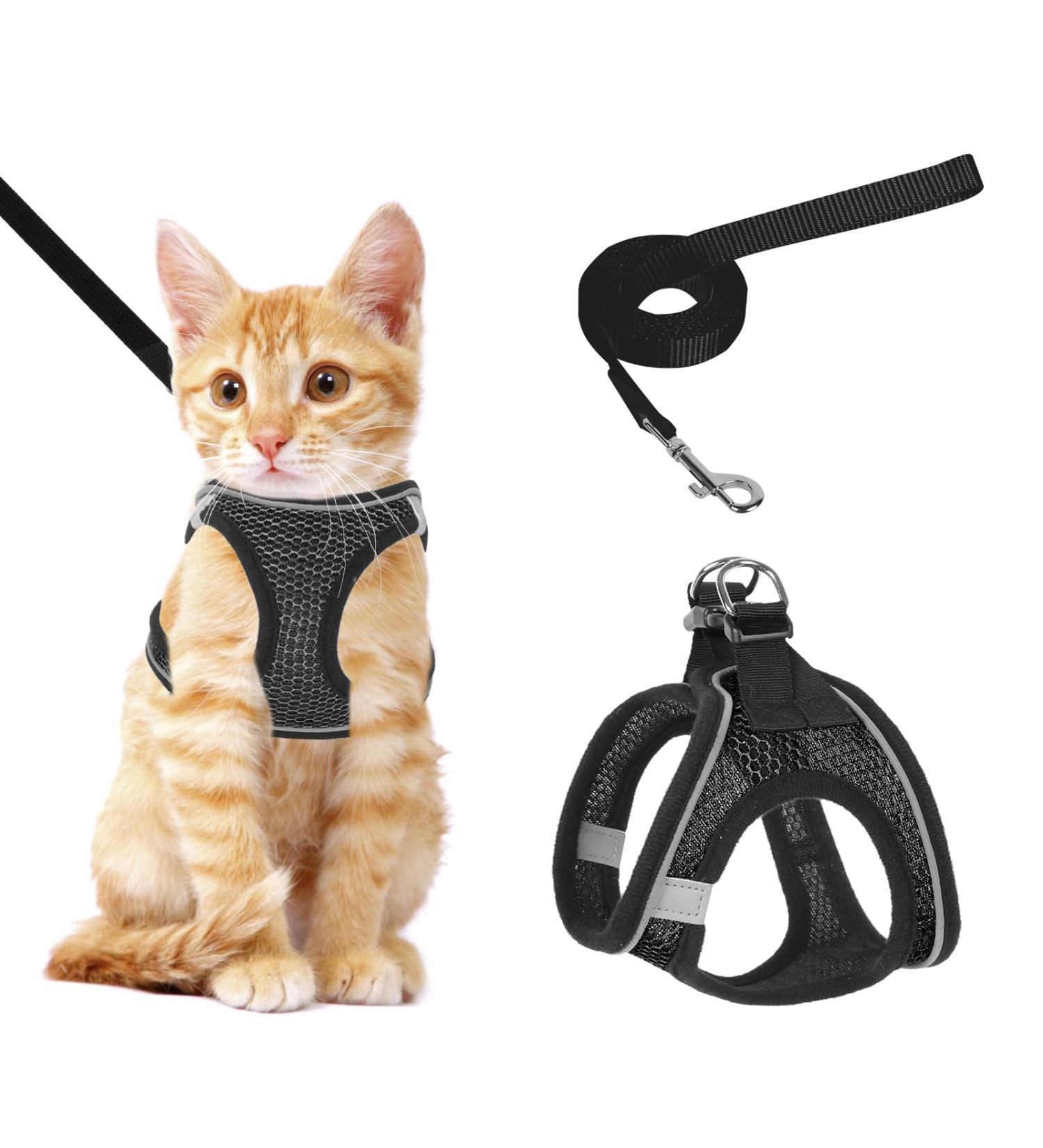 Shop Lollanda XS Black Cat Dishes with Leash | Adjustable Soft Kitten Vest with Reflective Strip - Perfect for Kittens! - Buy Online on GoSupps.com