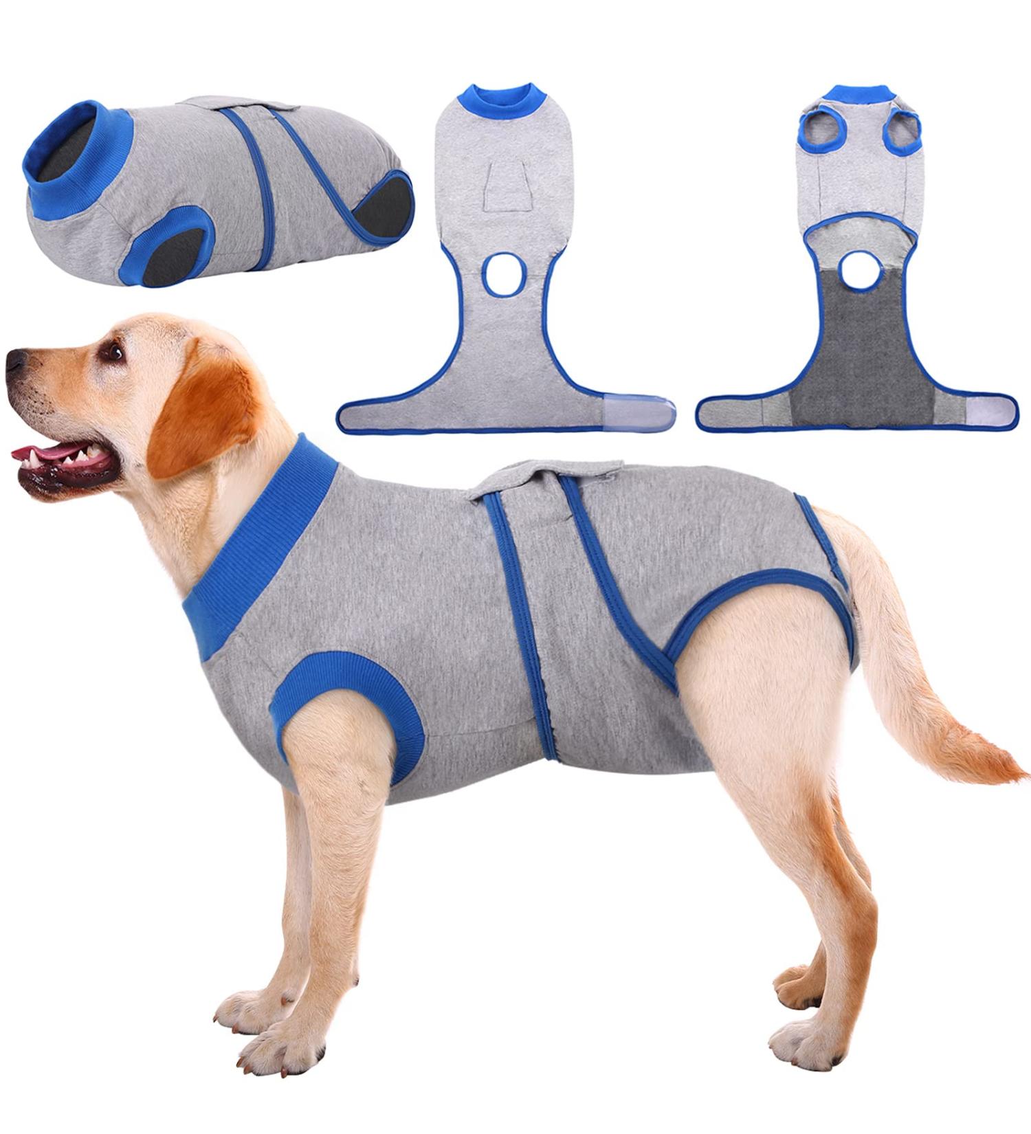 Kuoser Dog Recovery Suit - Post-Op Body for Male & Female Dogs | Breathable Leakage Protection & Anti-Licking | Gray L (1 Pack) - Buy Online on GoSupps.com