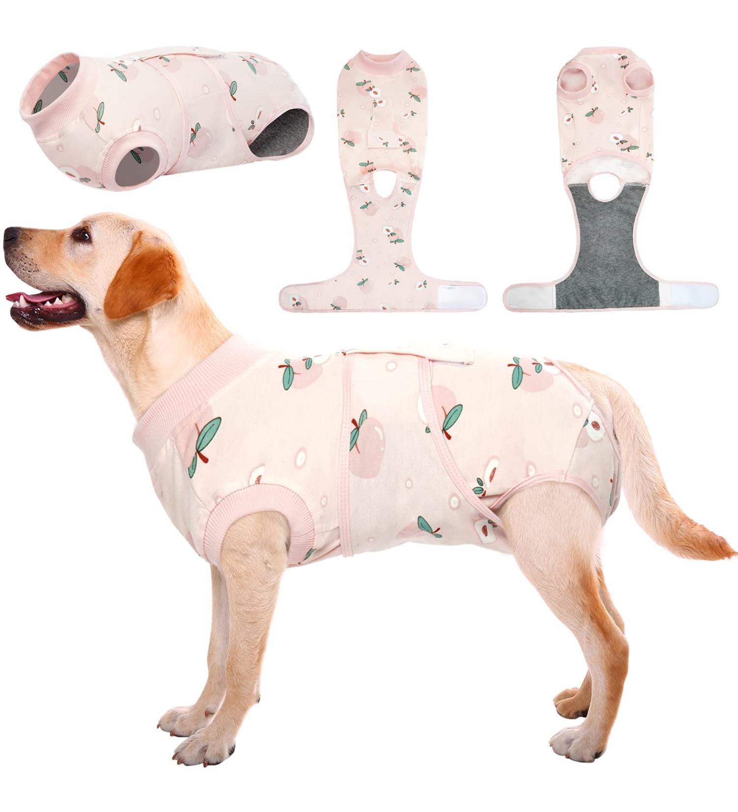 Kuoser Dog Body After Surgery | Breathable Recovery Suit for Male Dogs | Leakage Protection & Anti-Licking | Pale Pink XL (1 Pack) - Buy Online on GoSupps.com