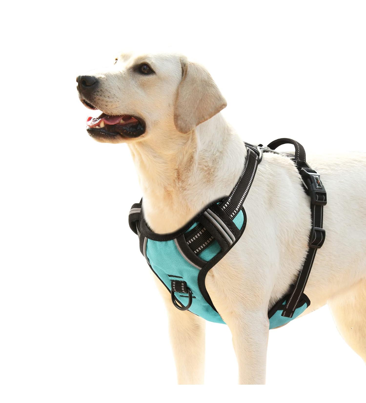 Premium Heele Dog Crockery & No-Pull Harness - Adjustable Reflective & Breathable for Medium Dogs - Turquoise XL - Buy Online on GoSupps.com