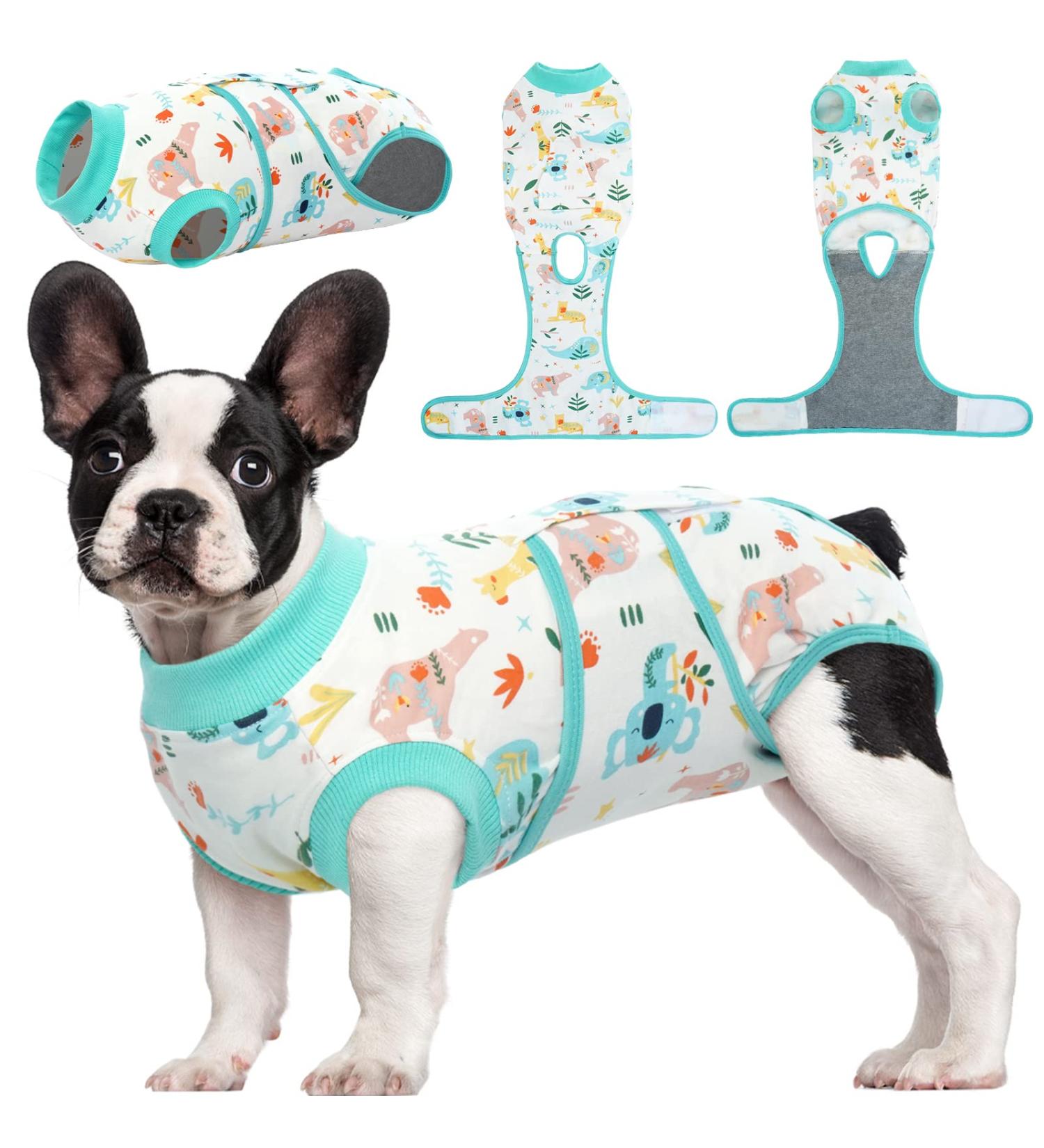 Kuoser Dog Post-Op Recovery Suit for Male Dogs - Breathable & Leakproof - Anti-Lick Body - XS Green (1 Pack) - Buy Online on GoSupps.com