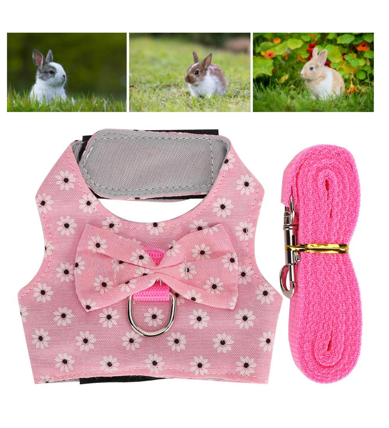 Qinlorgon Hamster Leash & Harness - Durable Small Animal Accessories for Rabbits and Pets (M) - International Shipping - Buy Online on GoSupps.com