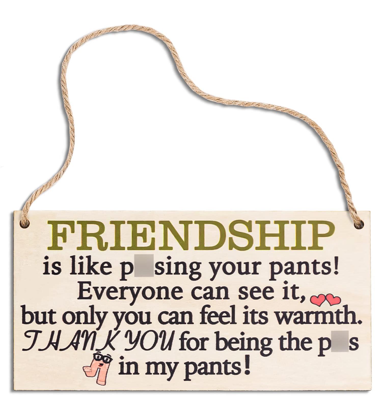 Friend Gifts For Women Under $15 | Funny Friendship Plaque for Her | Special BFF Gift | Prime Eligible - Buy Online on GoSupps.com