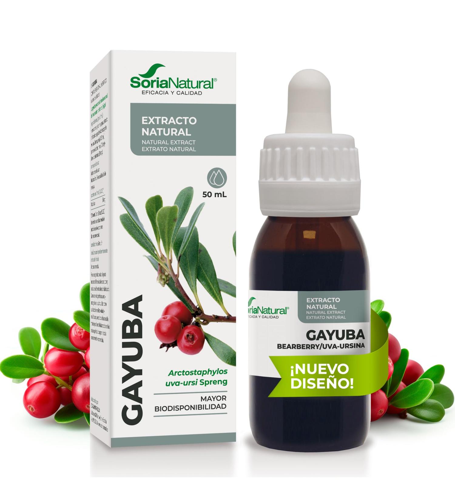 Soria Natural Bearberry Extract natural antiseptic urinary tract promotes urinary tract health and diuretic action 100 pure blister health 50 ml bottle - Buy Online on GoSupps.com