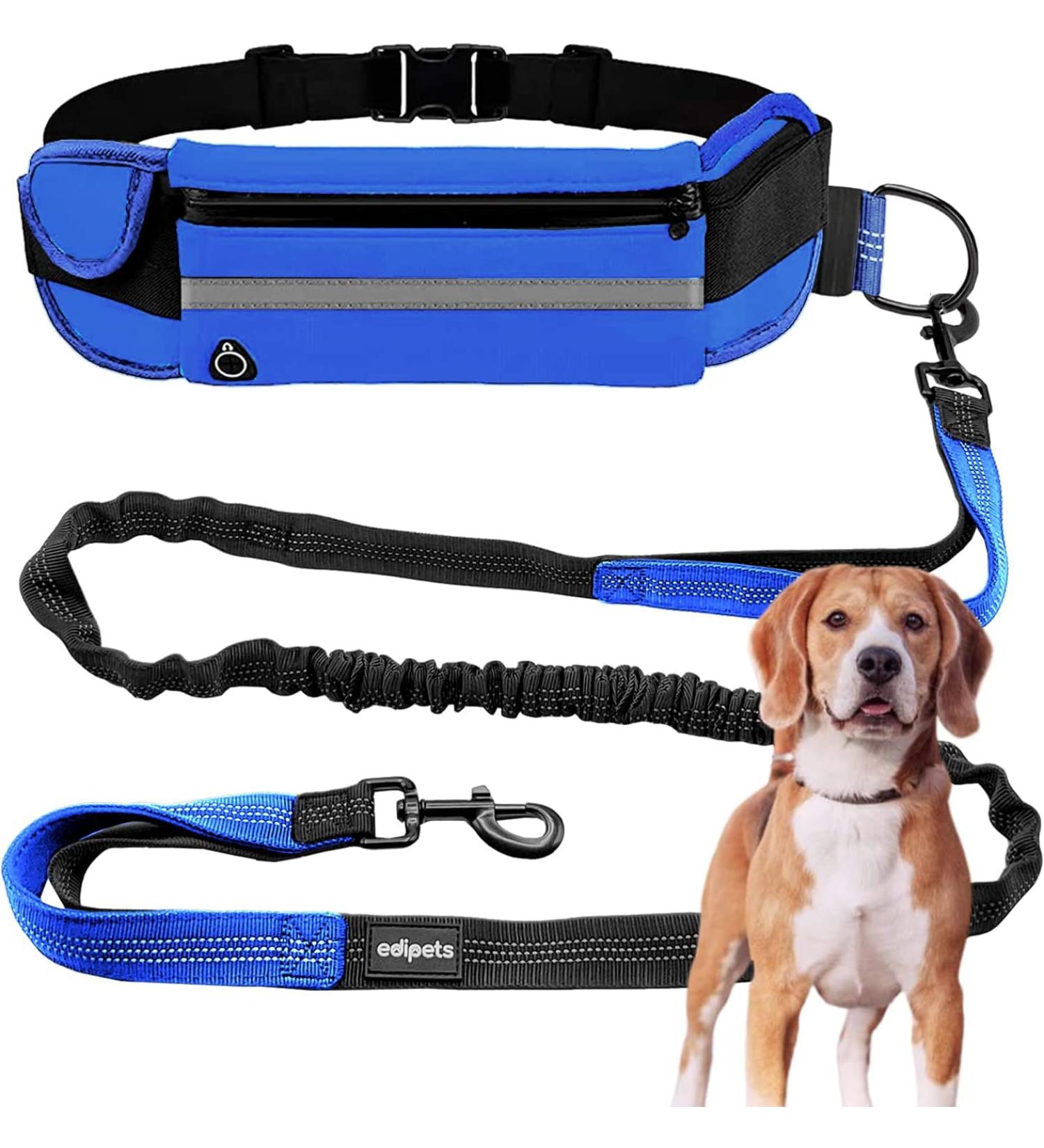 Edipets Hands-Free Jogging Leash for Dogs - Reflective Anti-Stress 160-220 cm Perfect for Running & Hiking - Blue - Buy Online on GoSupps.com