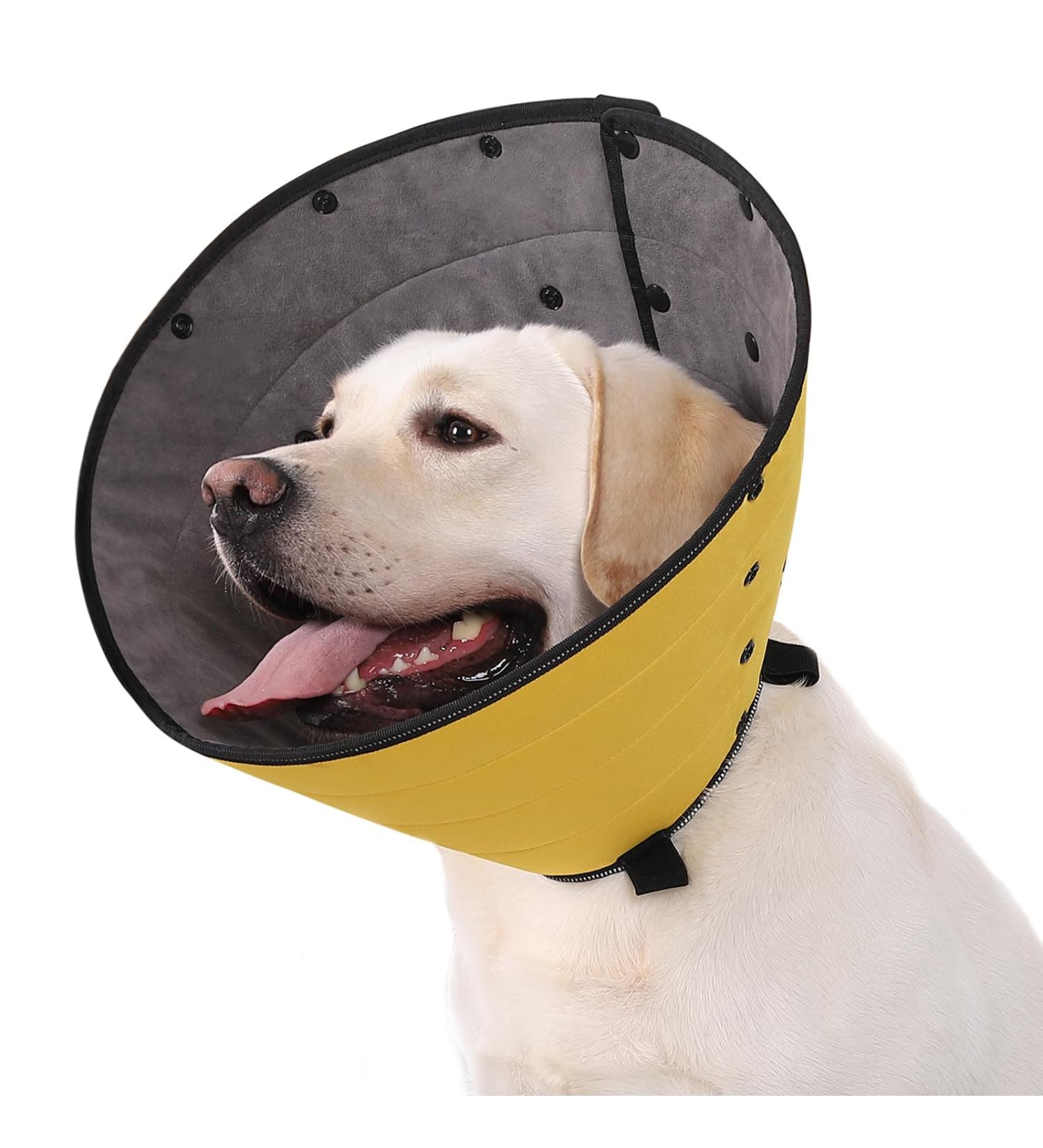 Soft Dog Cone for Dogs After Surgery Comfortable Dog Cones for Large Medium Small Dogs Adjustable Dog Recovery Collar for Pets Waterproof E-Collars for Dogs Elizabethan Collar (XL) Size XL - Buy Online on GoSupps.com