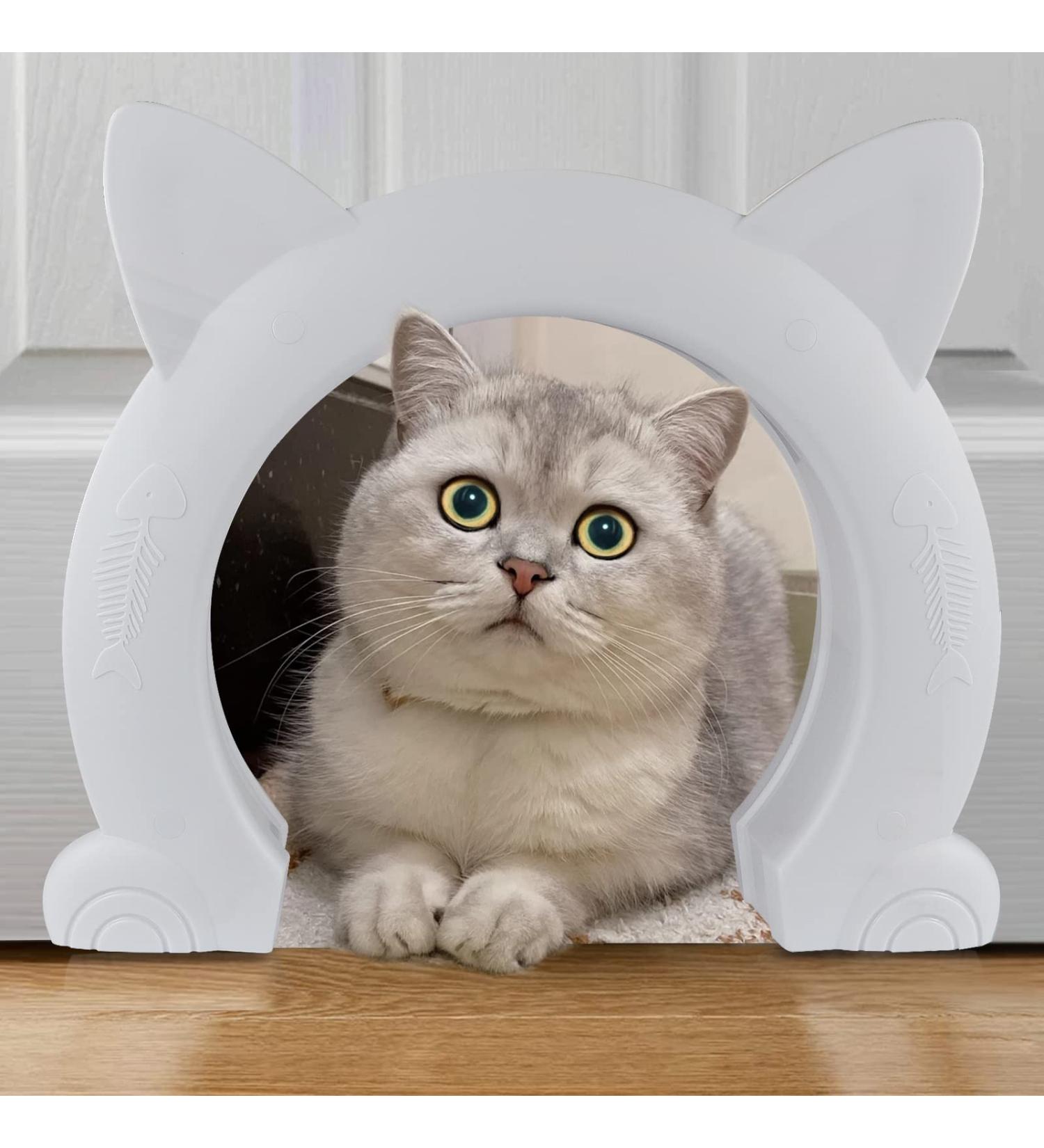 Cat entry doors new arrivals